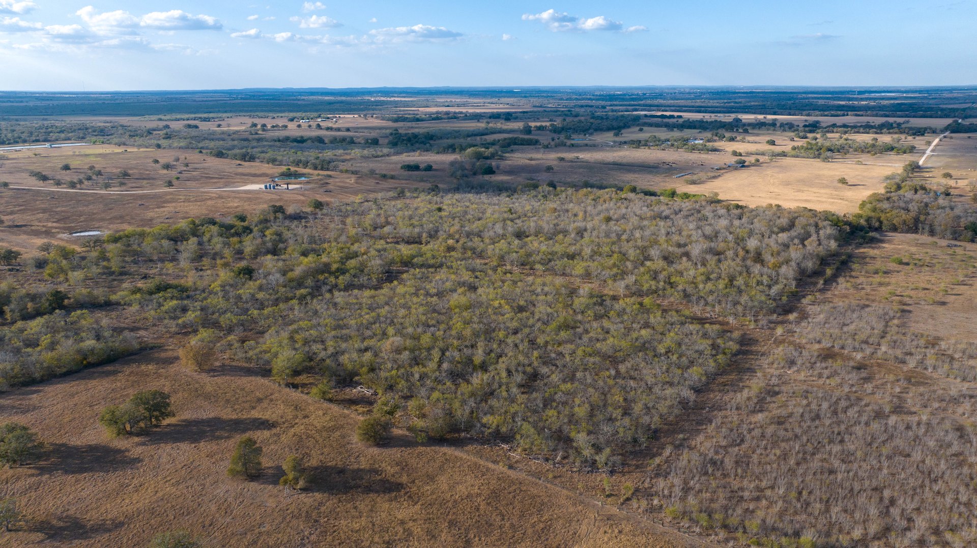 Gonzales County | 104+/- Acres