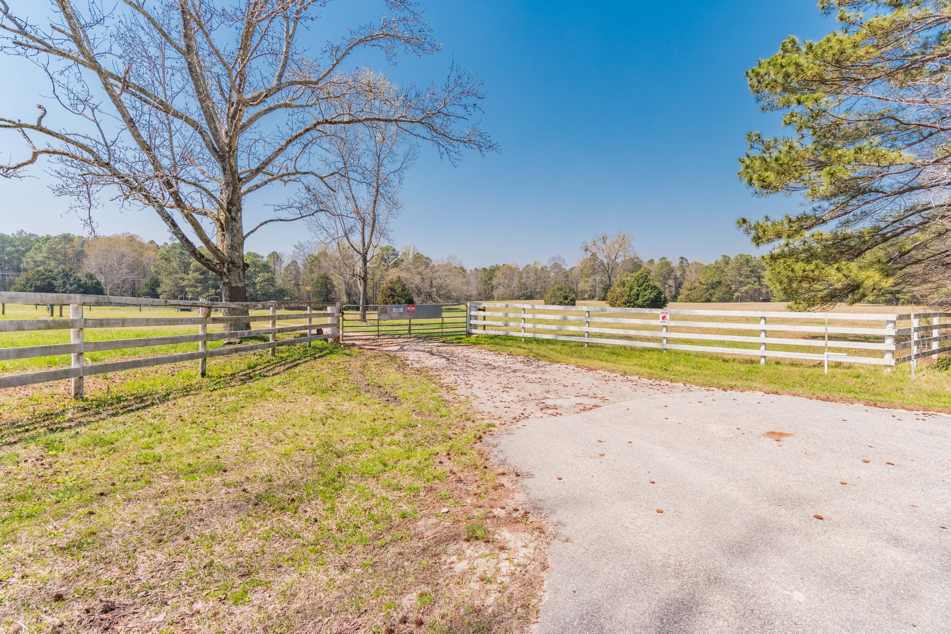 Watson Farms