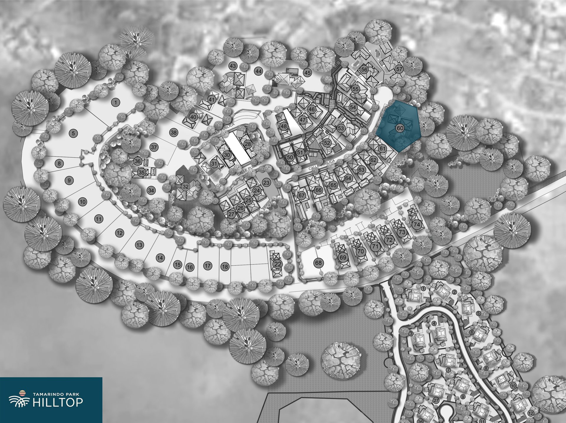 Casa Bougainvillea  | Exquisite Hilltop Turnkey Homes—Casa 45 & Casa 60 by Richard Muller!