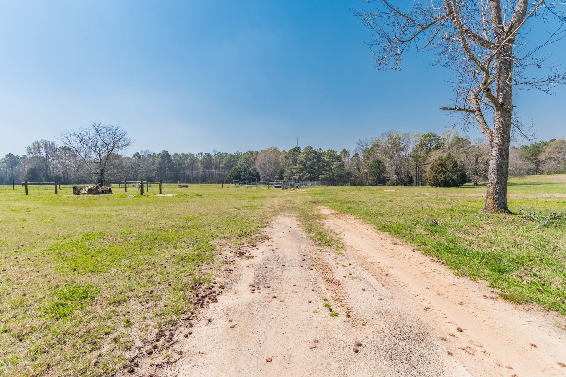 Watson Farms
