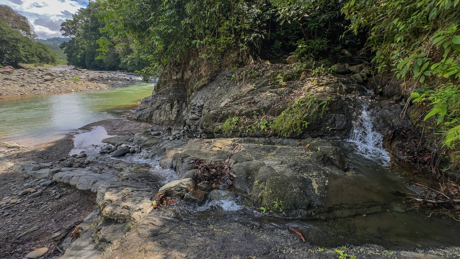60+ Hectares in Platanillo | Own Your Own Mountain in Costa Rica