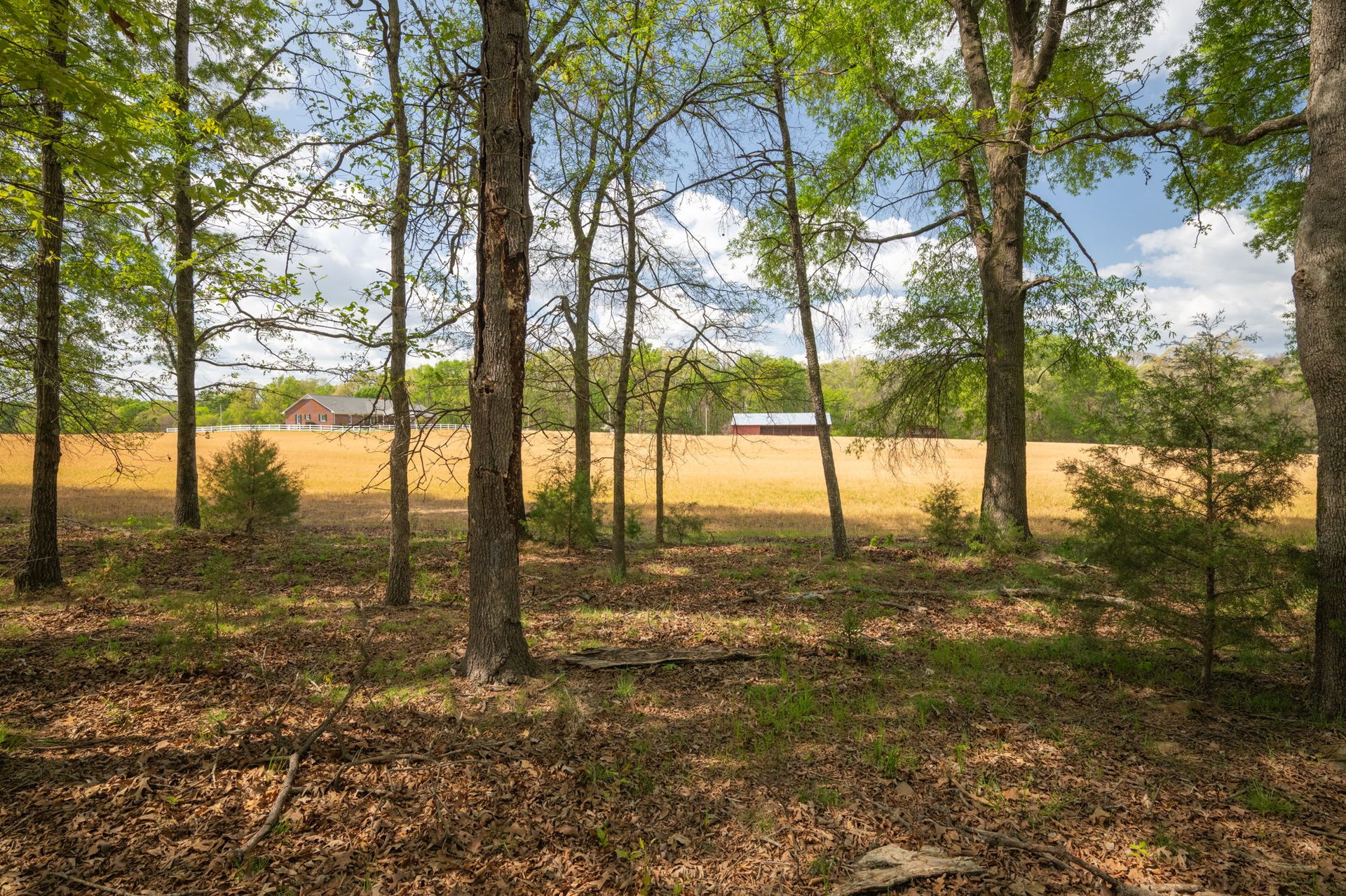 824 N Forest Hills School Rd