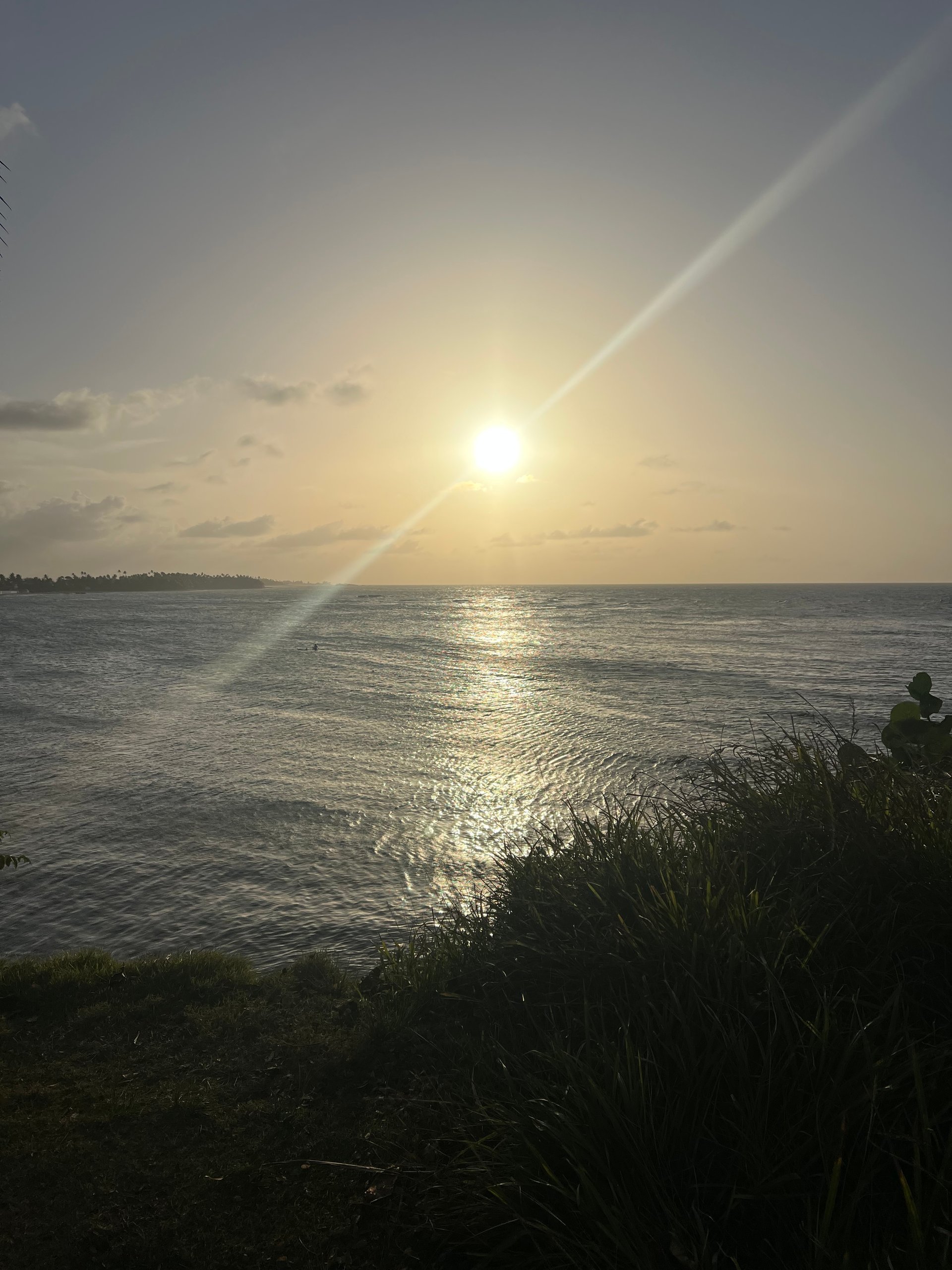 Beaches and walking trails...Cerro Gordo , Vega Alta
