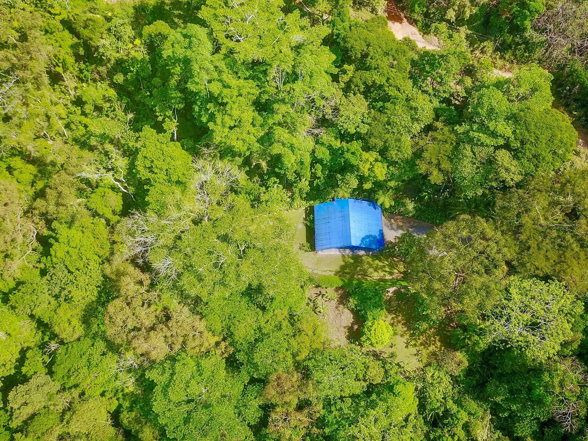 2.35 ACRES- 2 Bedroom Colorful Jungle Home With Ocean Views, Privacy, Room To Build More, Only 10 Min To Dominical!!!