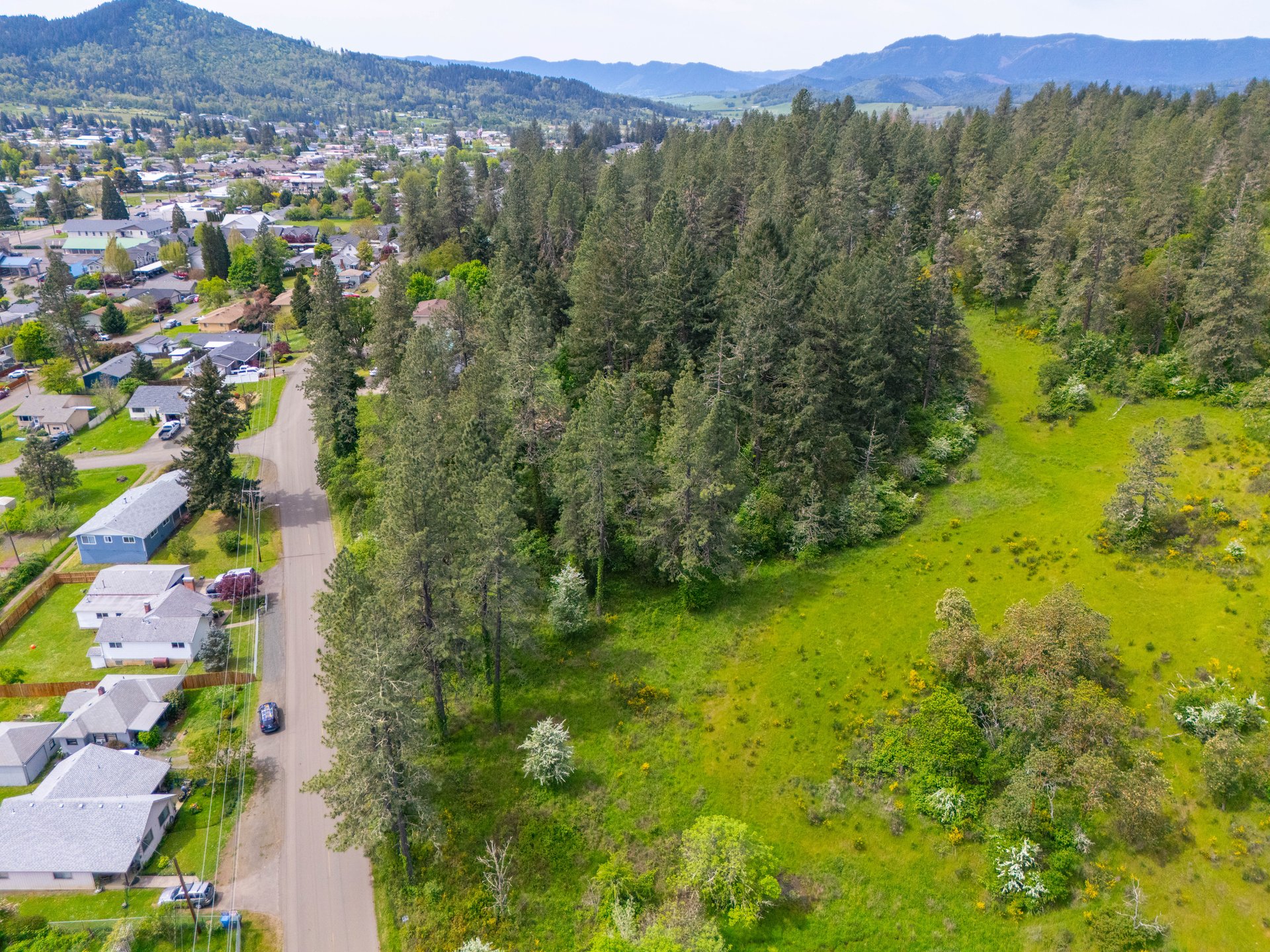 SUTHERLIN WOODLOTS