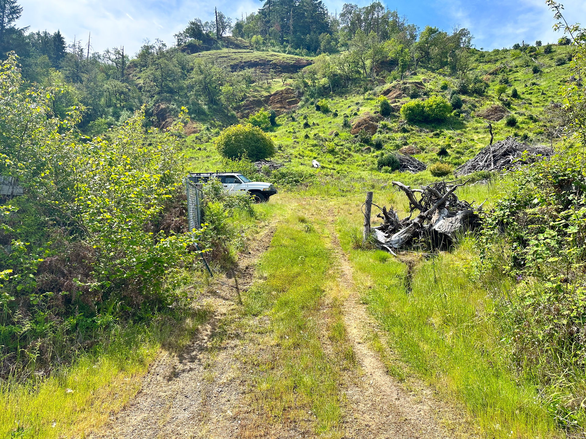 STRICKLAND BOULDER FOREST
