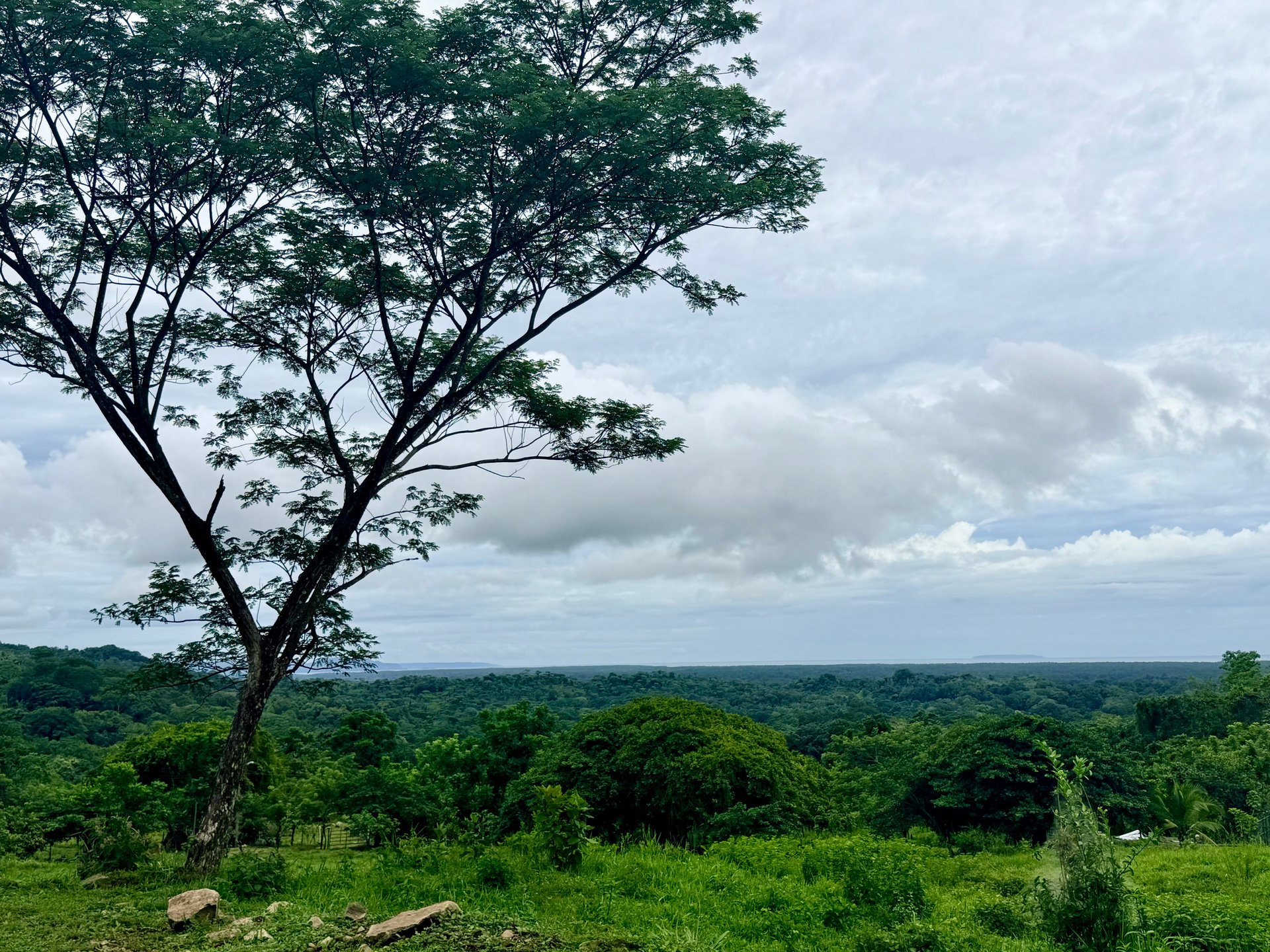 Ocean View Sanctuary in San Buenas – 4.94 Acres of Pastures & Easy Accessaccess