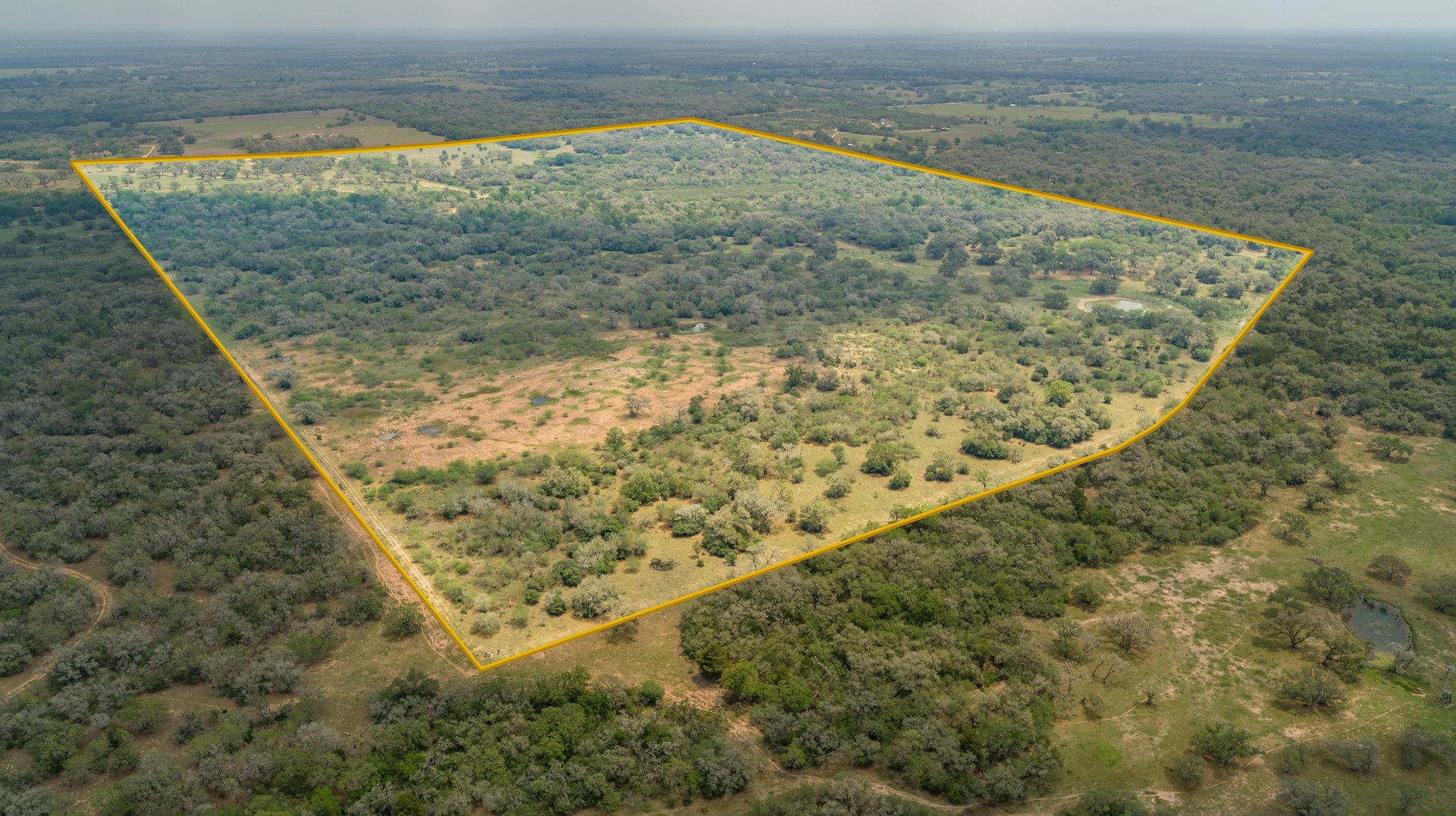 Five Mile Creek Reserve | 252.73± Acres-High Fence | DeWitt County, TX