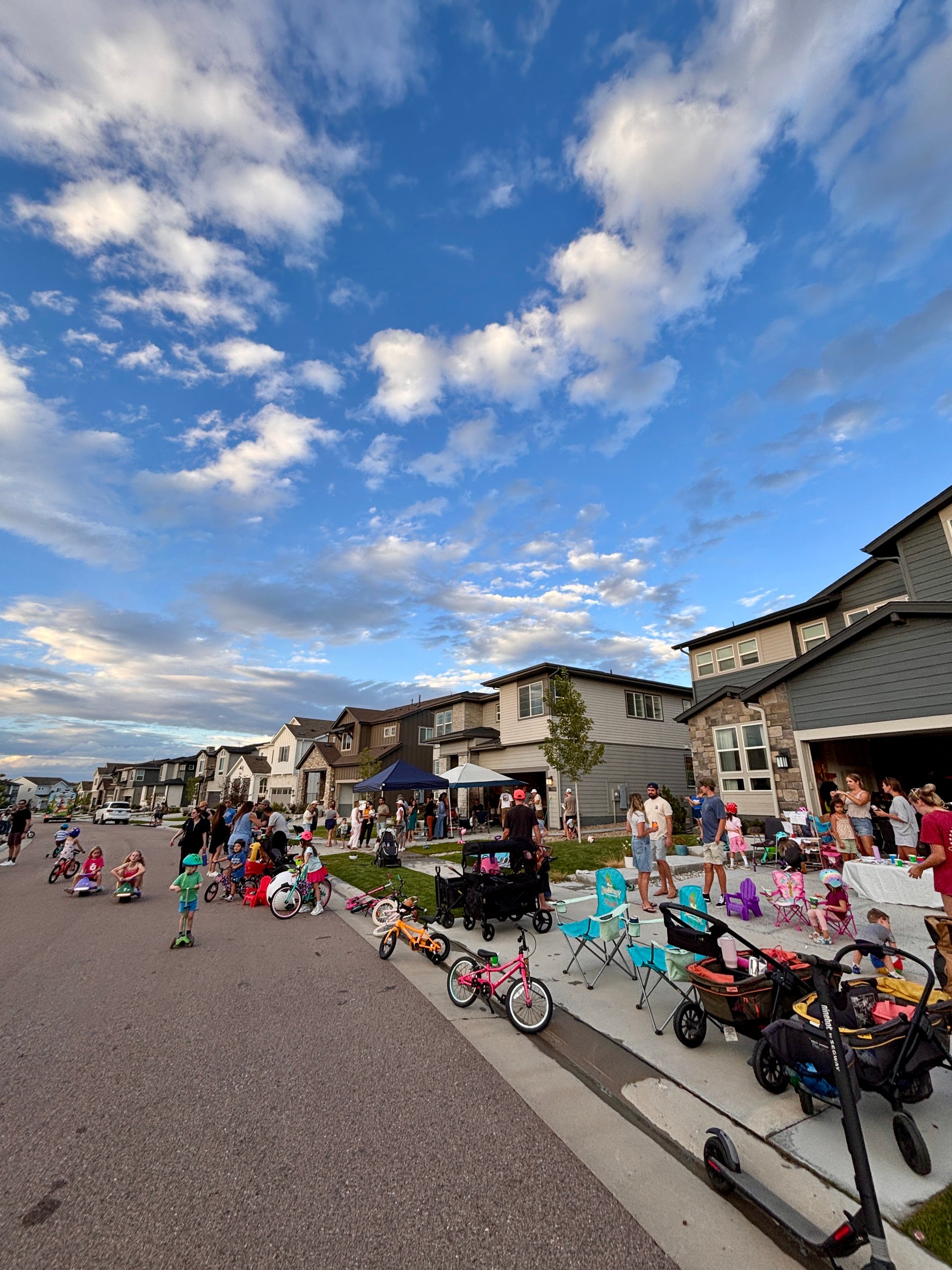 Families gather for a neighborhood block party on a residential street lined with modern homes.