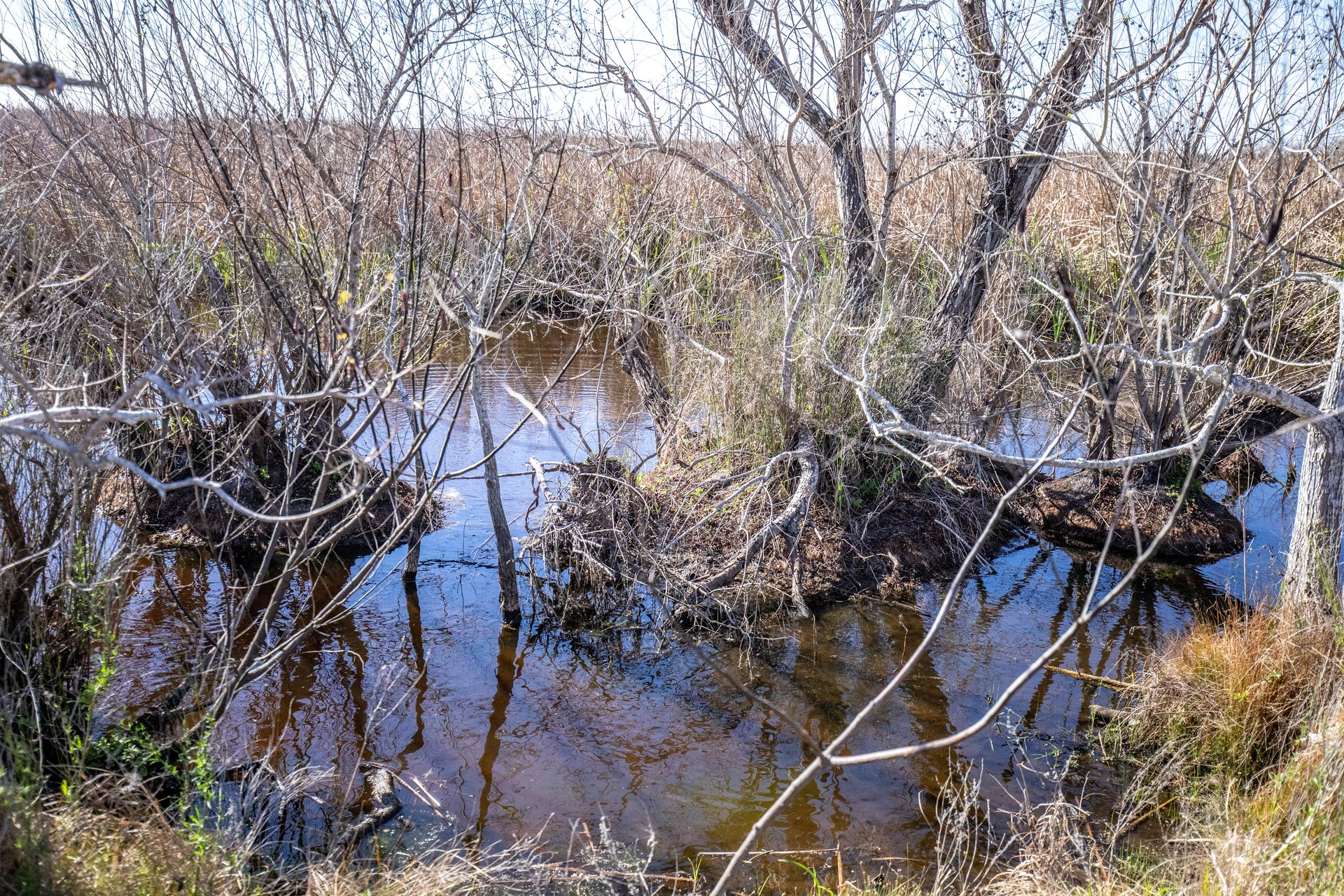 Lamar Peninsula Development Tract |  51.81± Acres | Aransas County