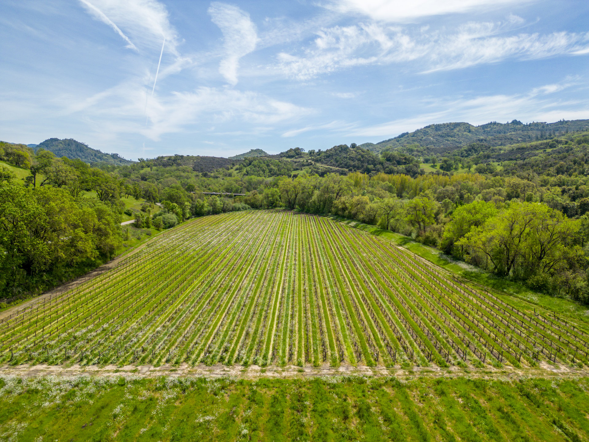 The Hopland Hills Ranch