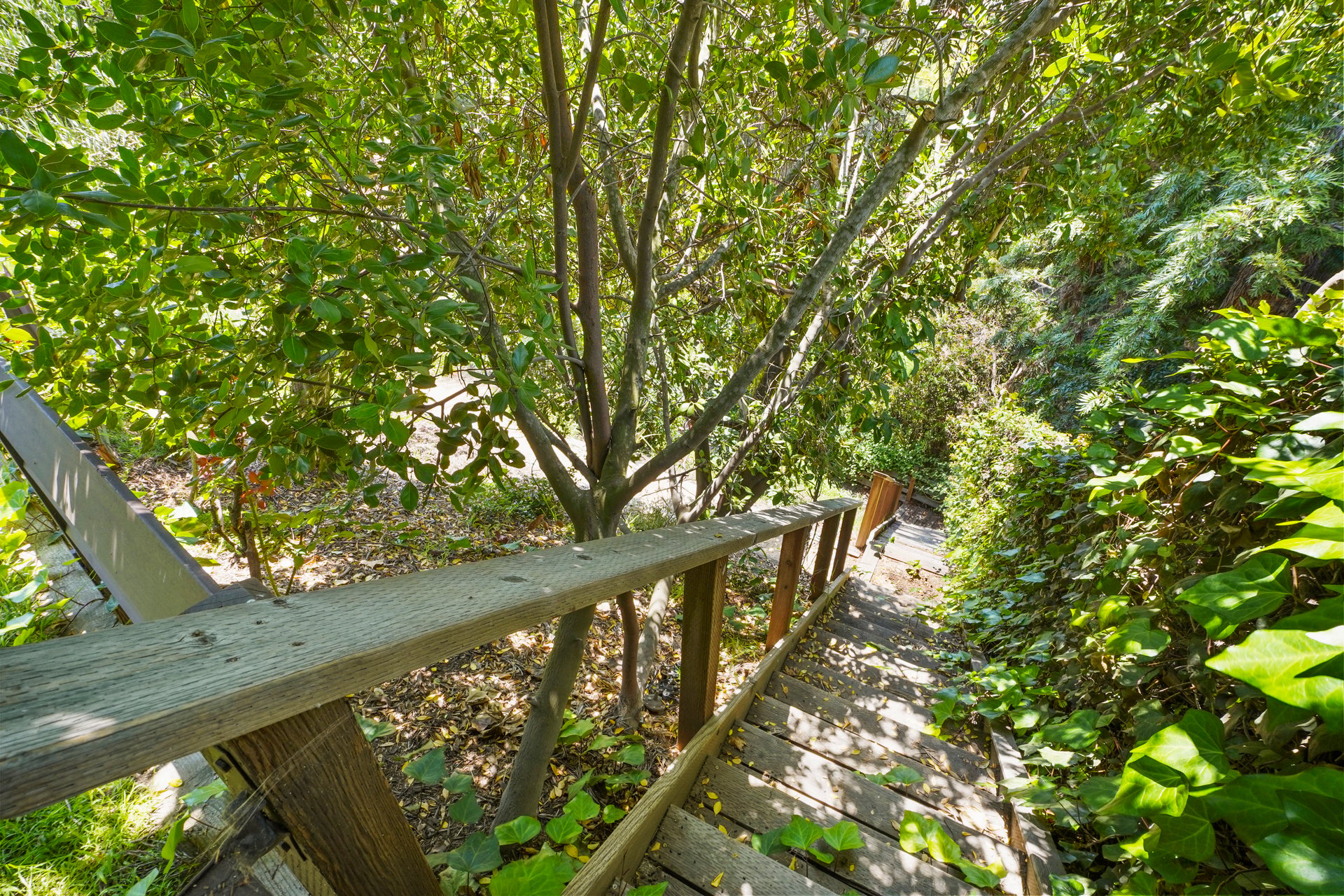 6312 Tahoe Drive