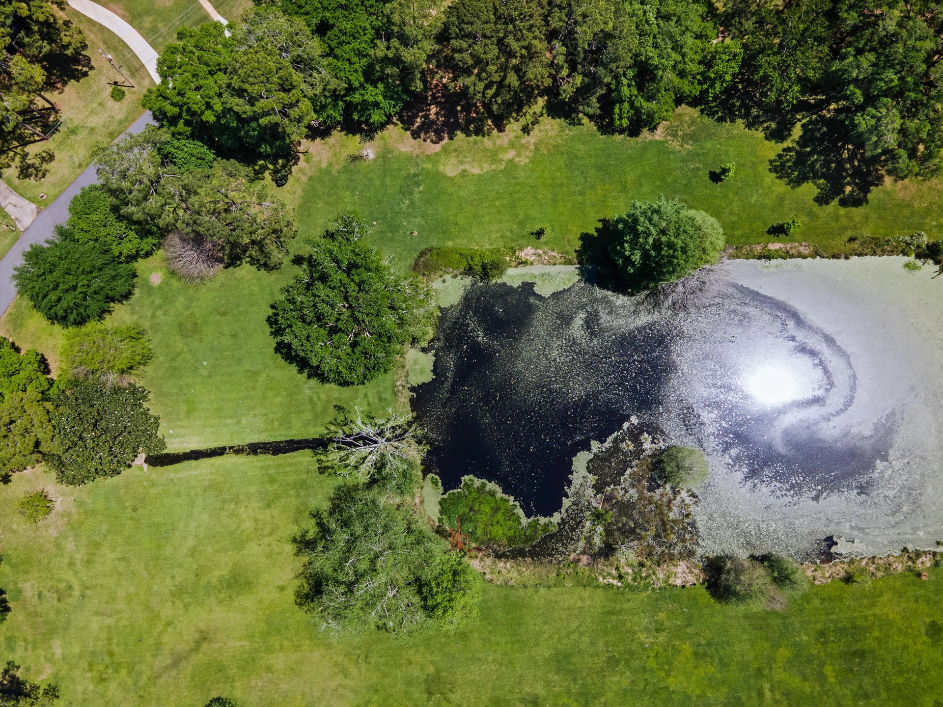 2521 Harriman Circle