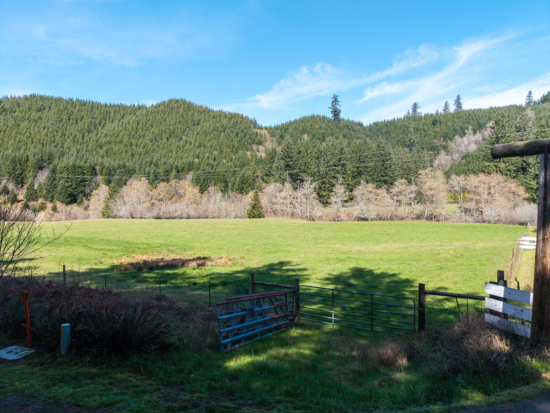 LITTLE ELK TREEFARM