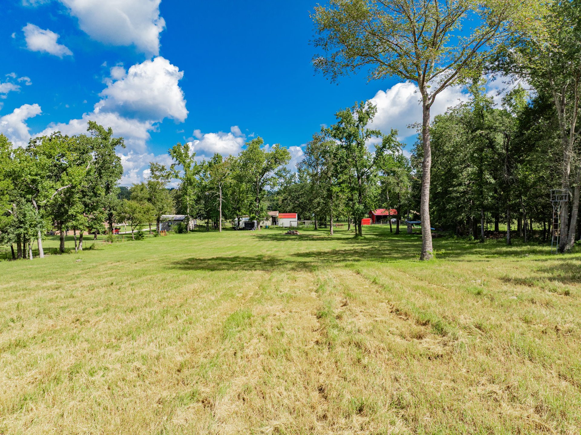A Ben Wheeler Country Home & Land Dream!