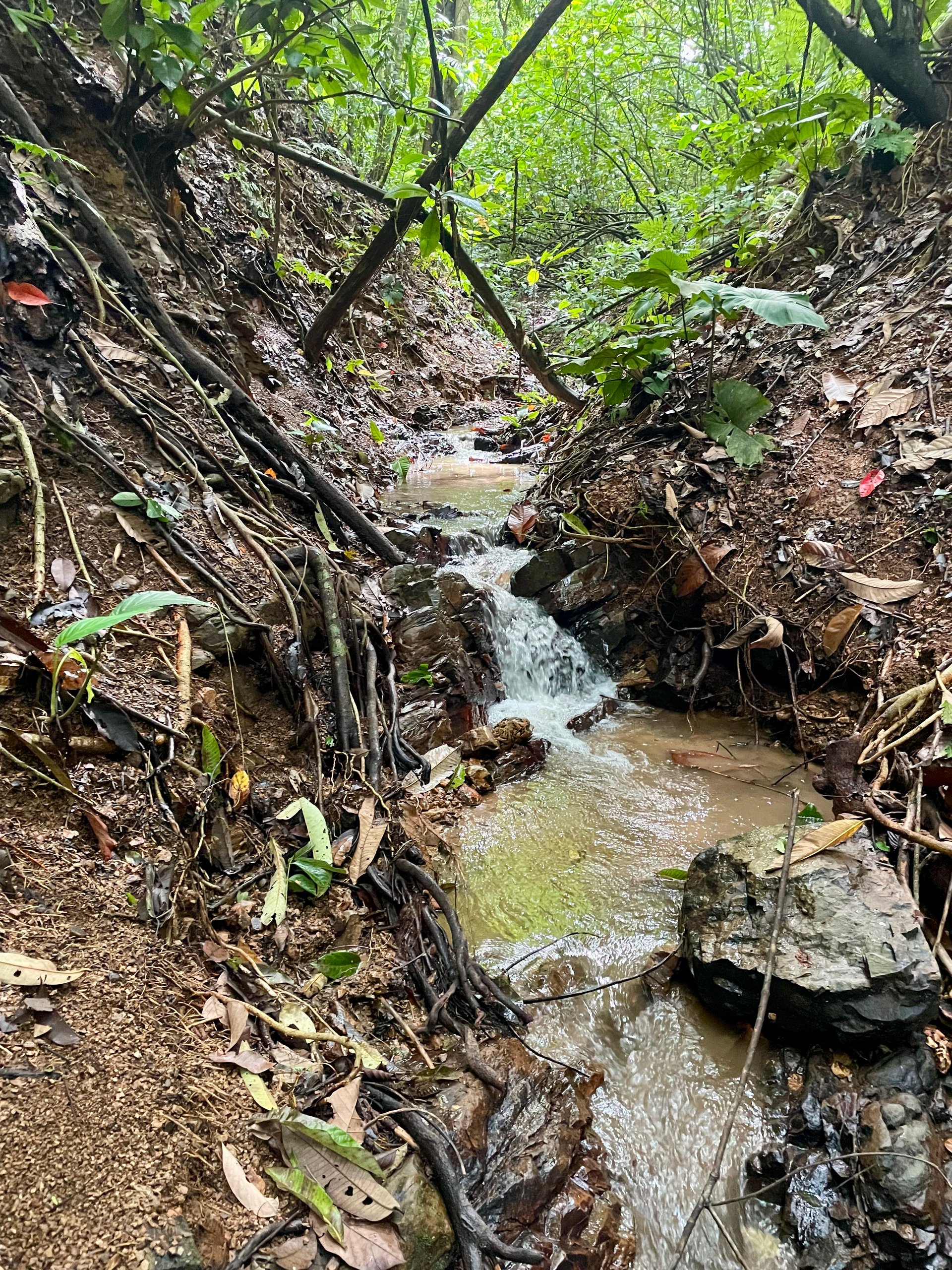 TROPICAL MASTERPIECE – 61.78 ACRES OF OCEANVIEW BLISS WITH WATERFALL
