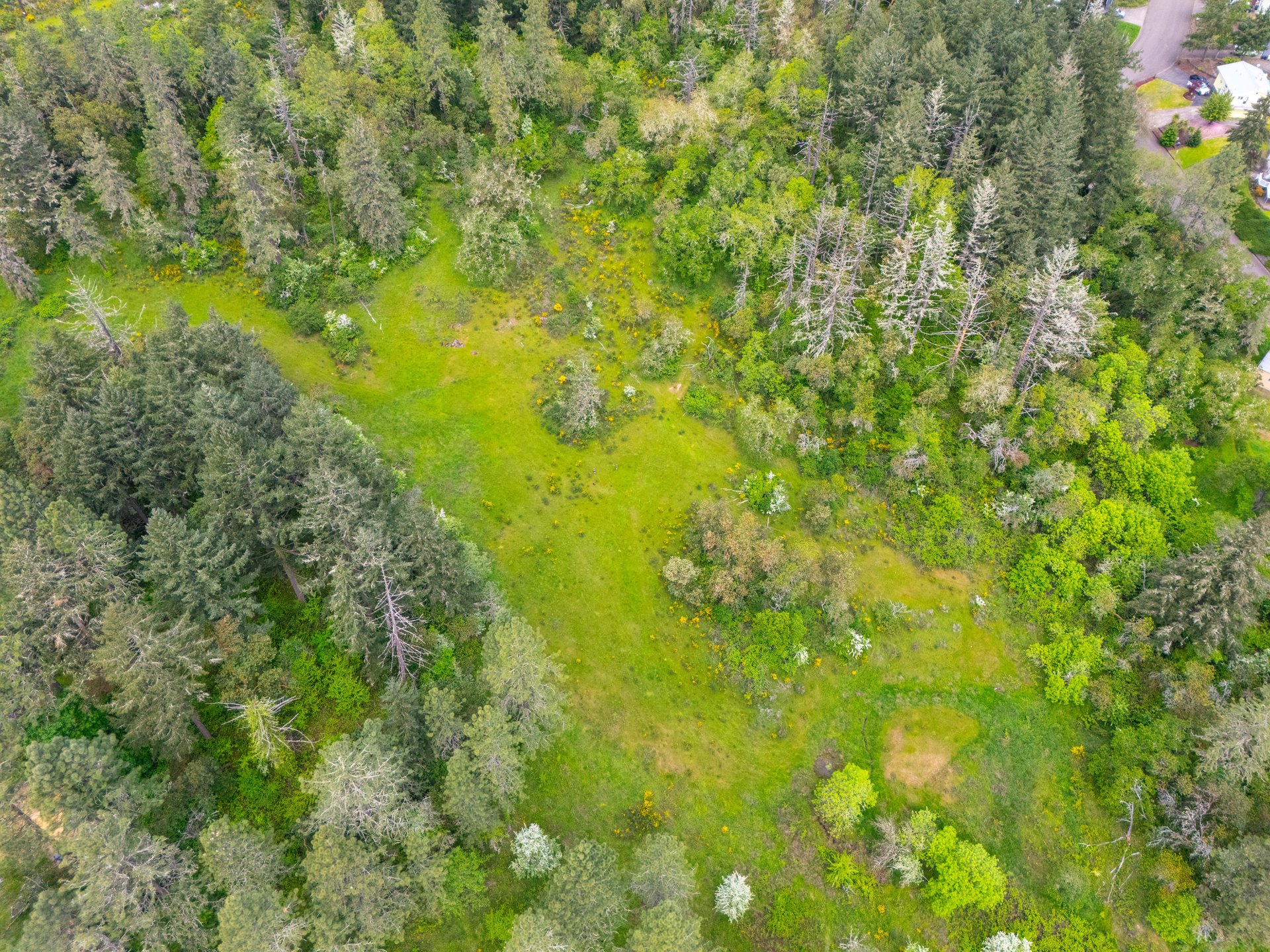 SUTHERLIN WOODLOTS