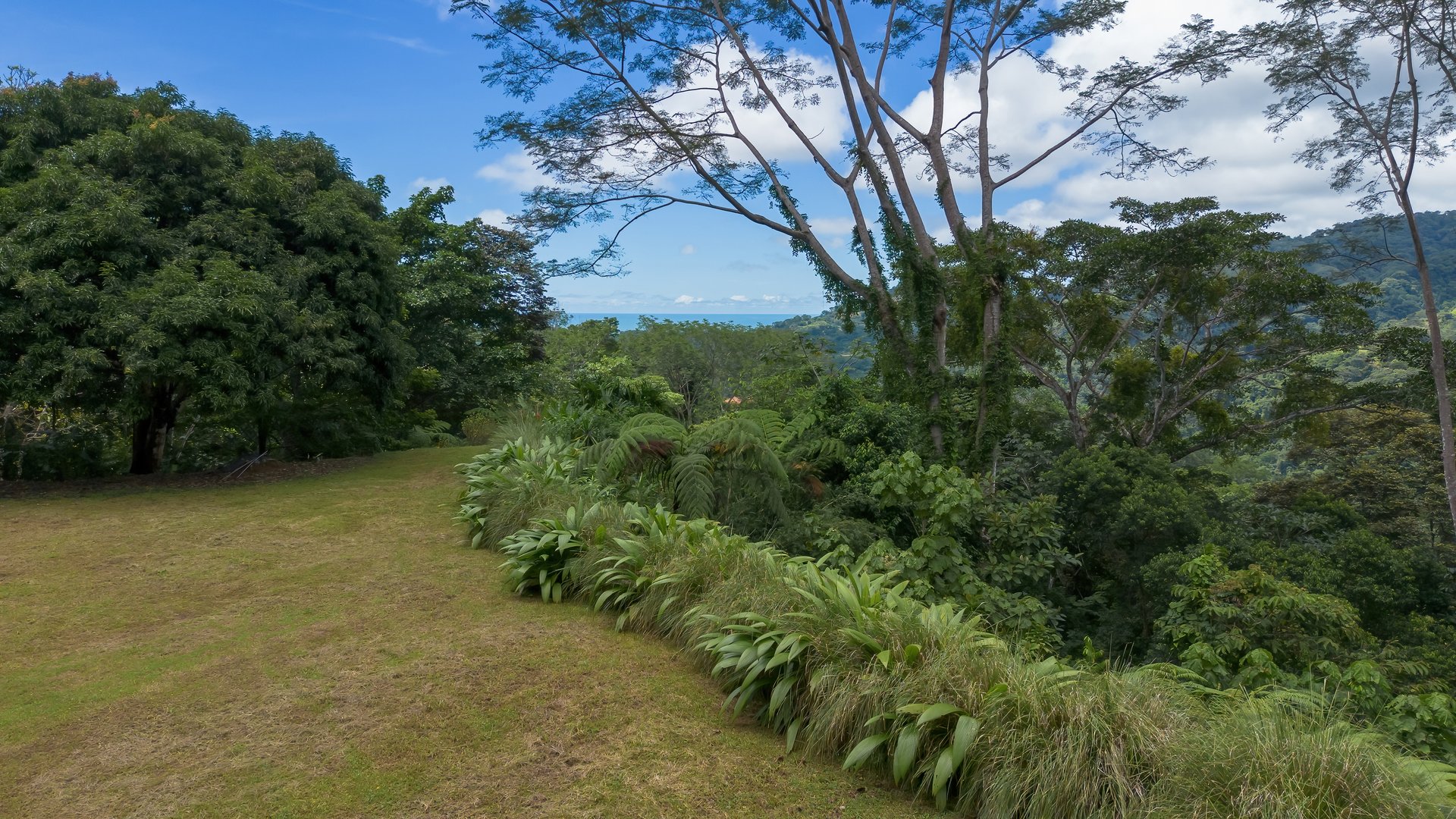 Build-Ready Ocean View Land with Guest House & Fruit Orchard | Tres Rios, Costa Rica