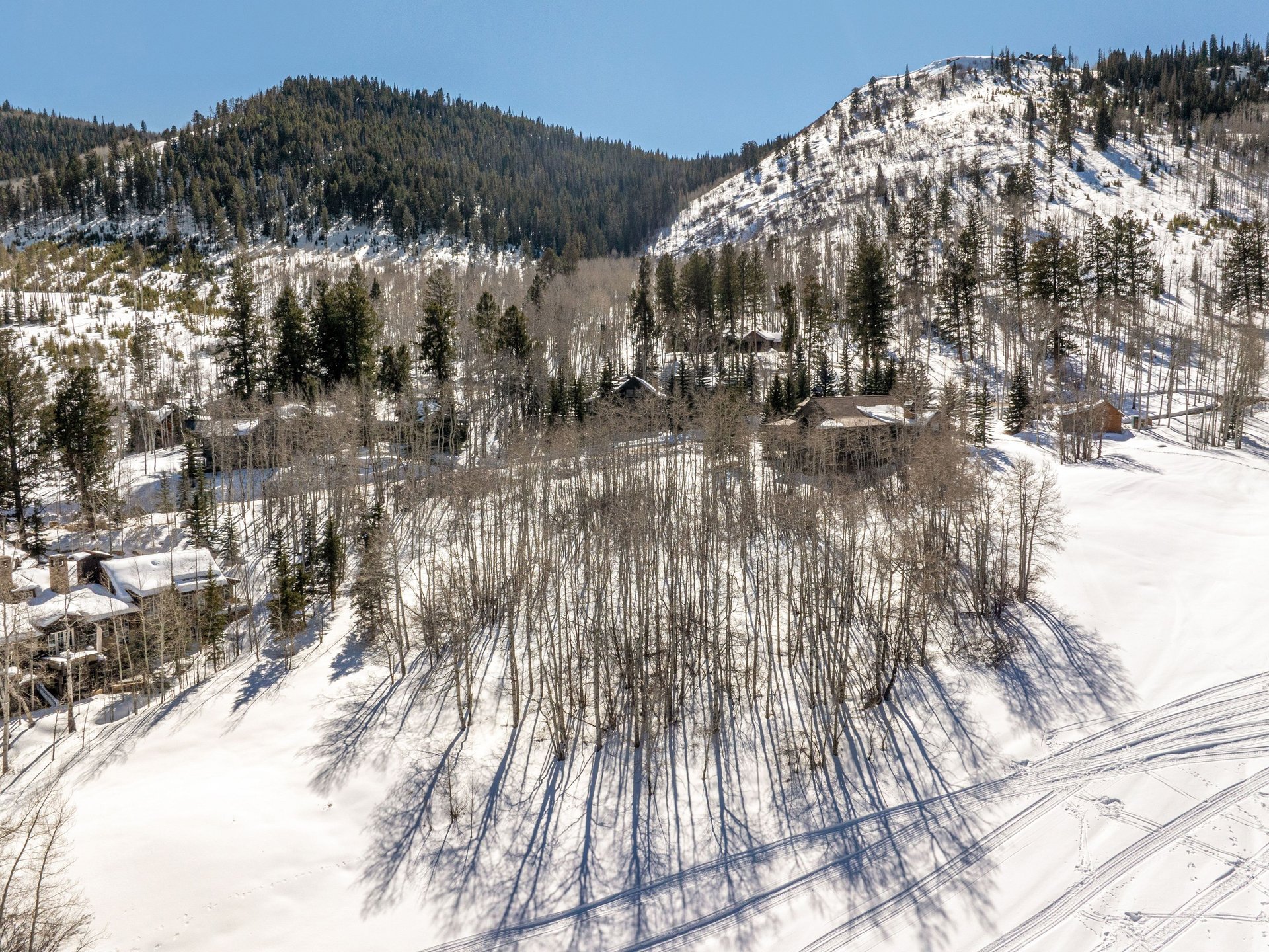 320 Elk Spring Trail
