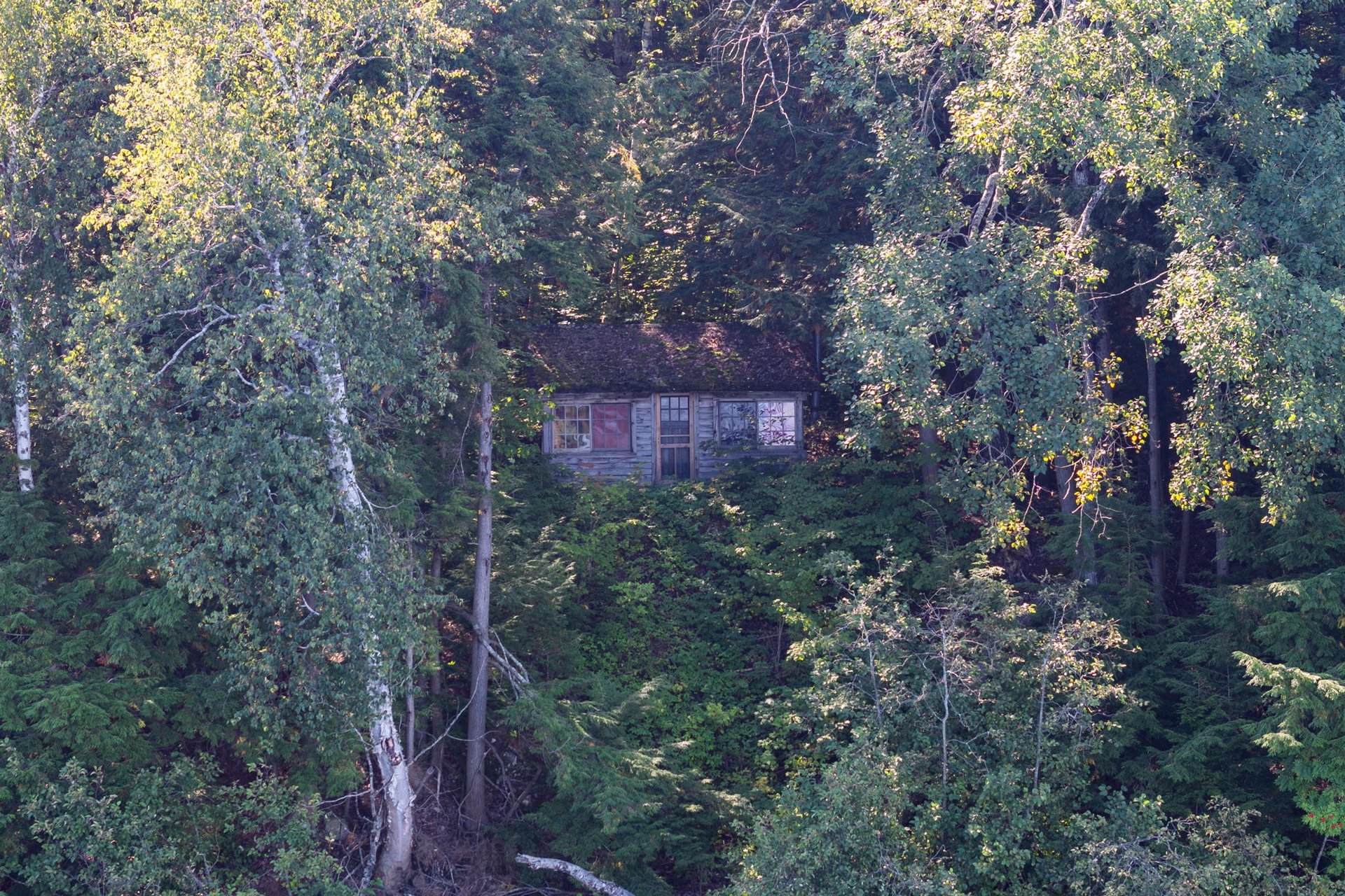 4339 Muskoka Road 117, Lake of Bays