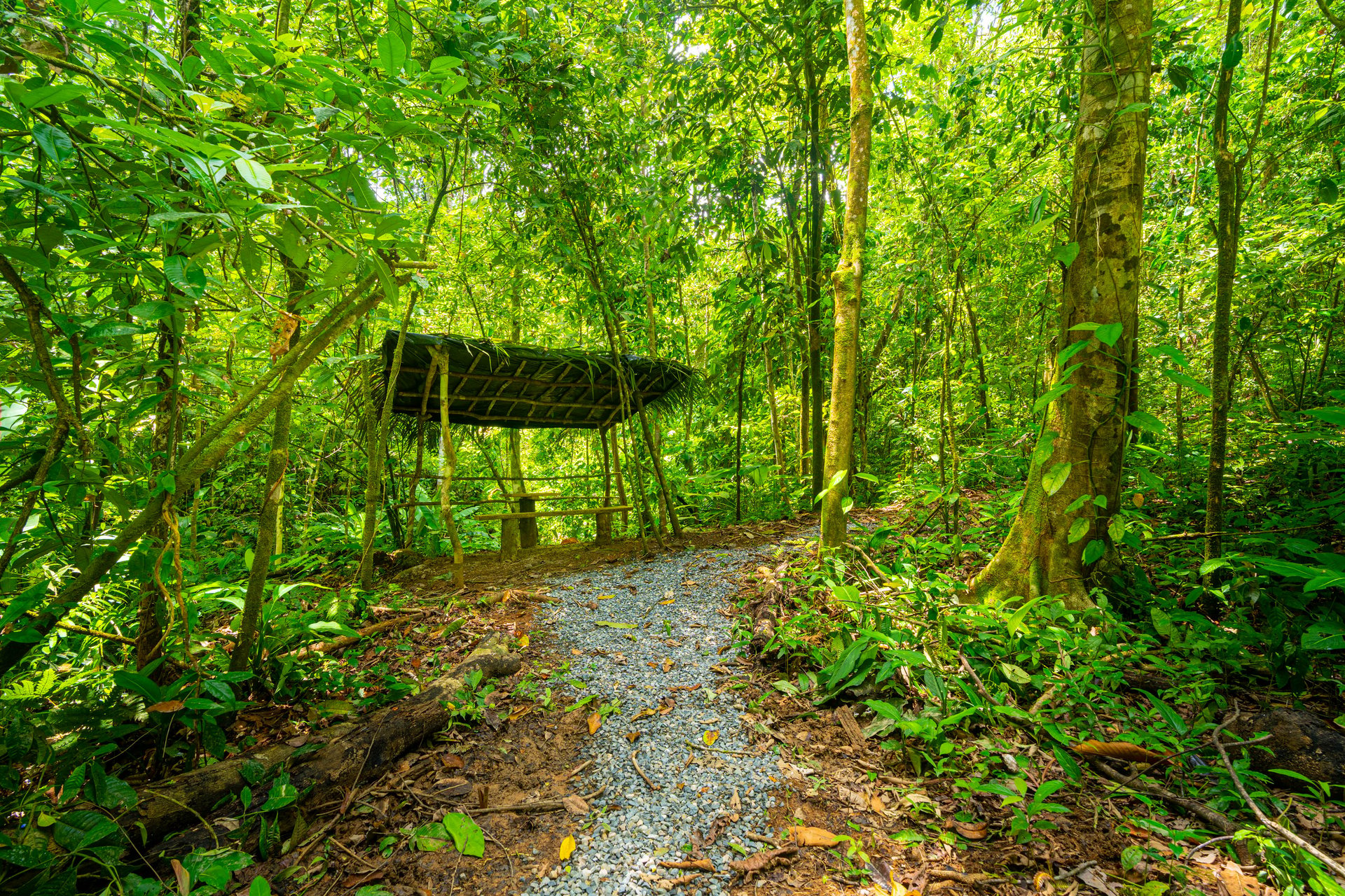 Amazing Mountain View and Ocean View House and Guest House on 4.5 Acres of land in Ojochal