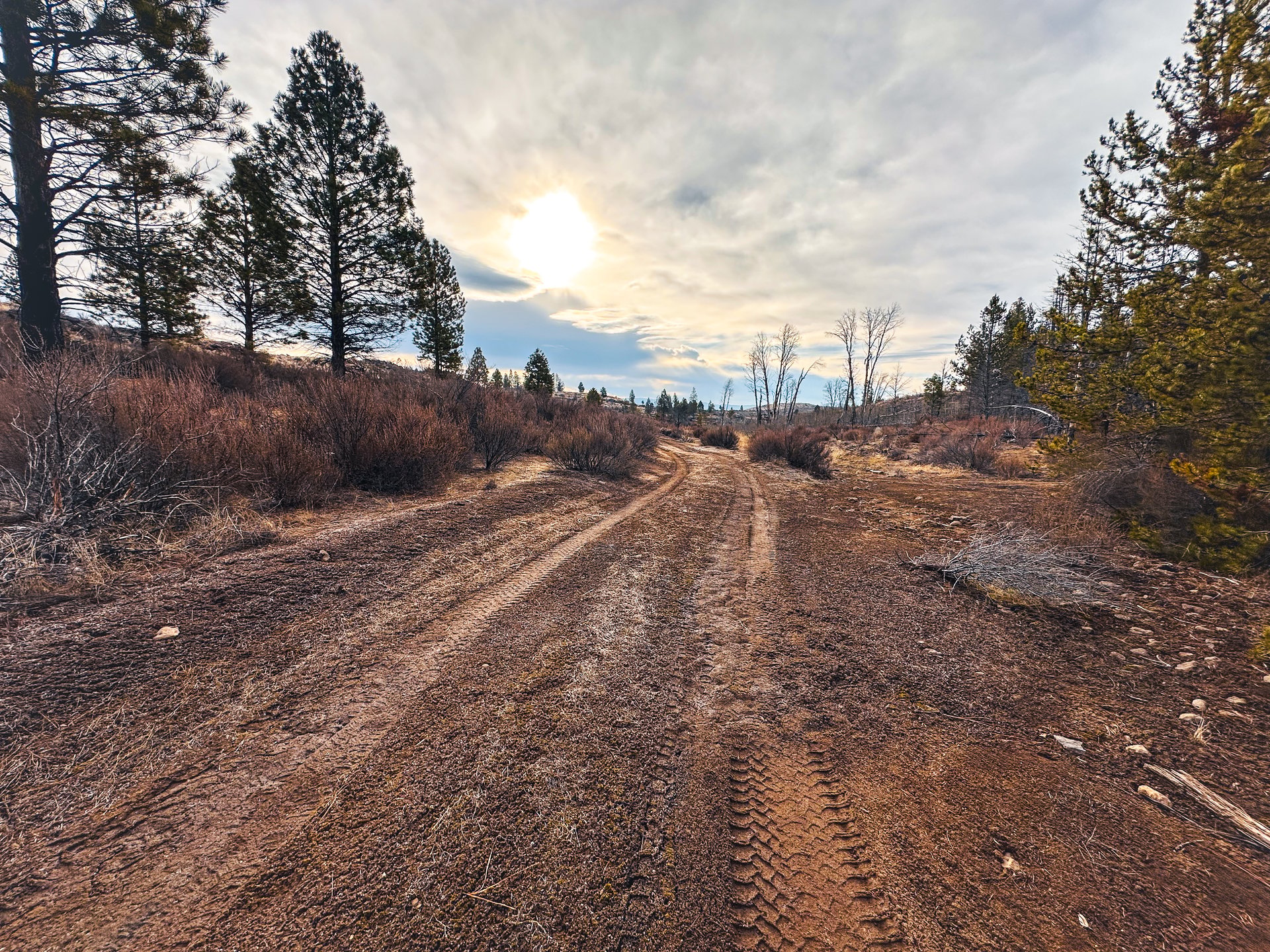 Klamath Basin