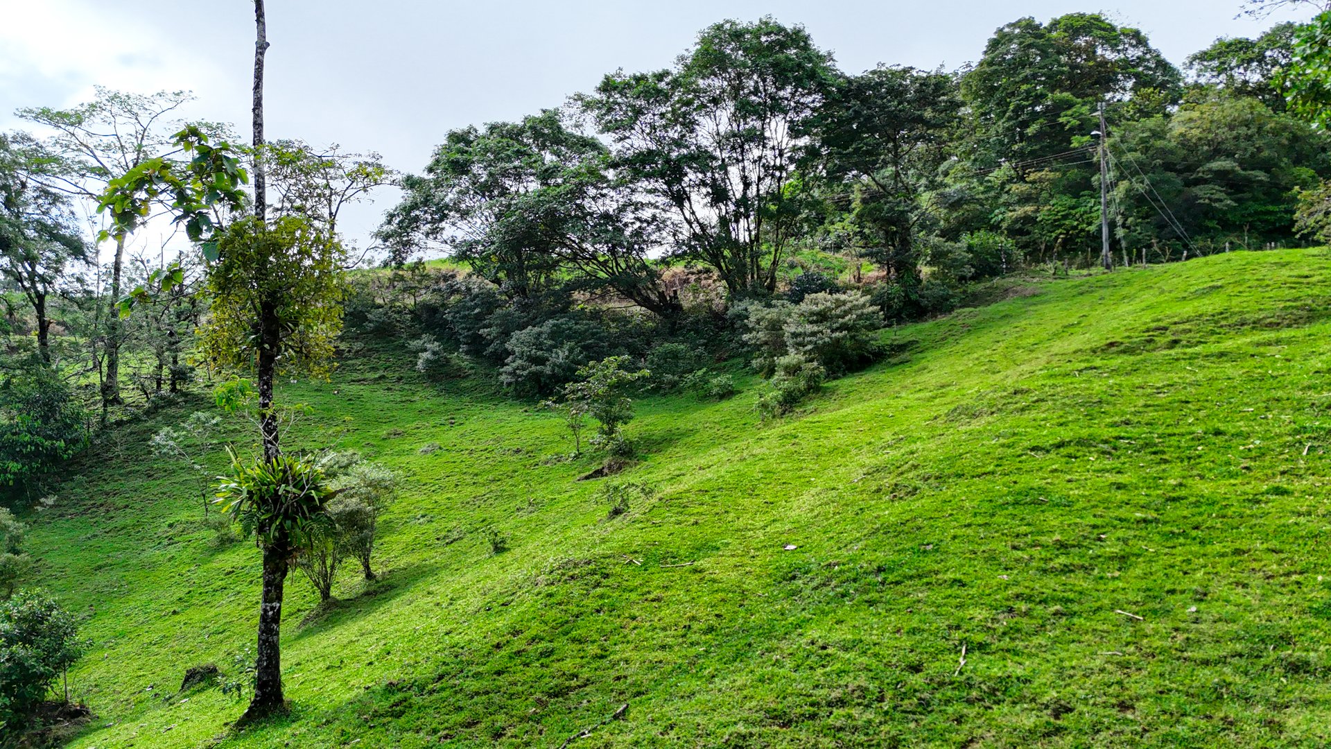 Finca Altamira | Boasting breathtaking panoramic views of the majestic Miravalles Volcano!