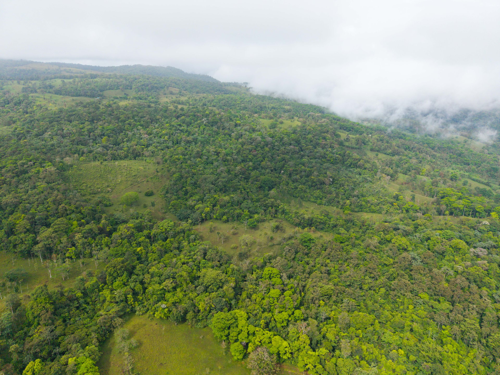Finca Las Zompopas-Río Celeste | 113-Acre Biodiverse Property in Bijagua, Ideal for Eco-Tourism, Private Retreats, or Sustainable Development