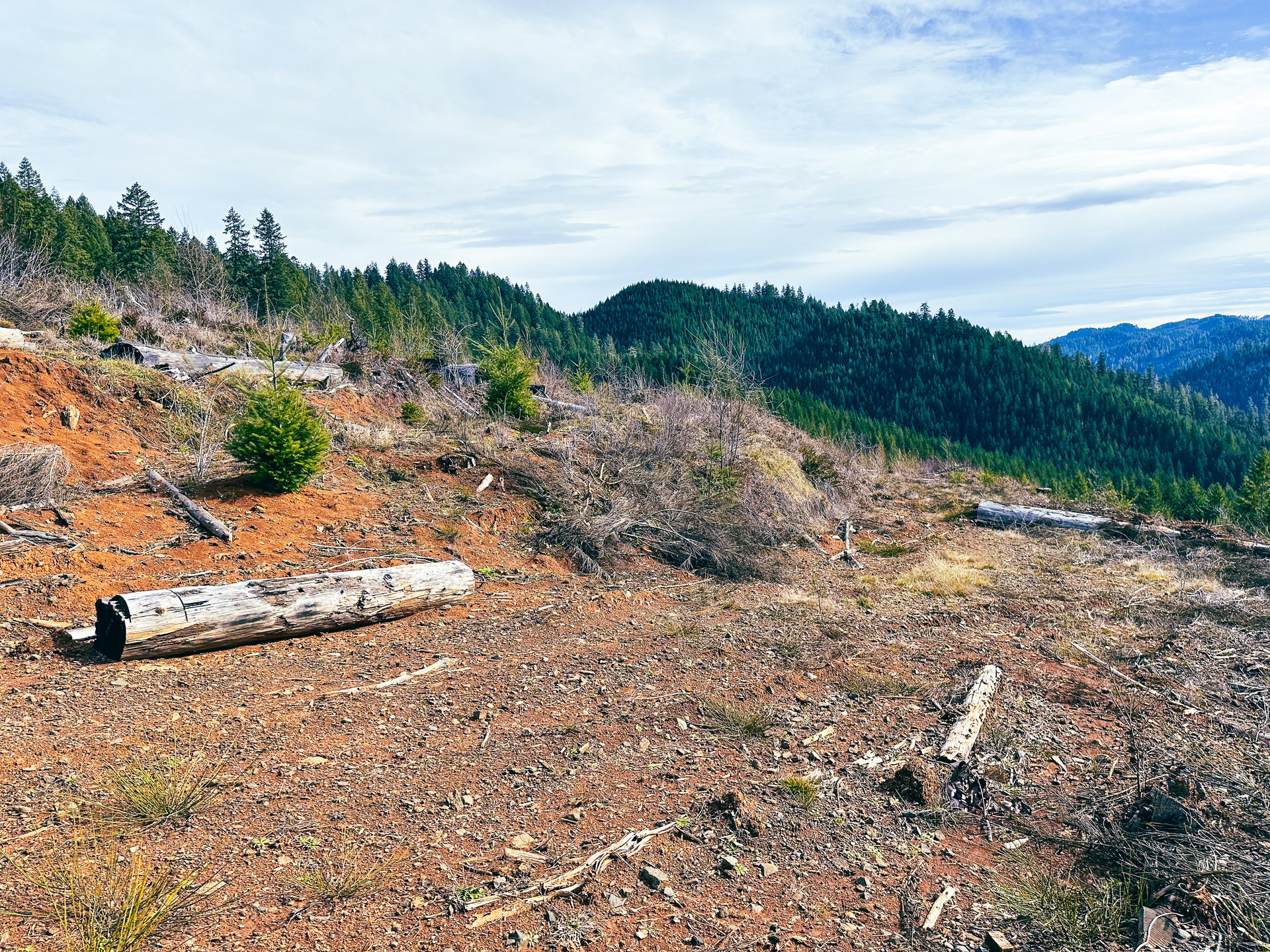 Smith River Back Woods