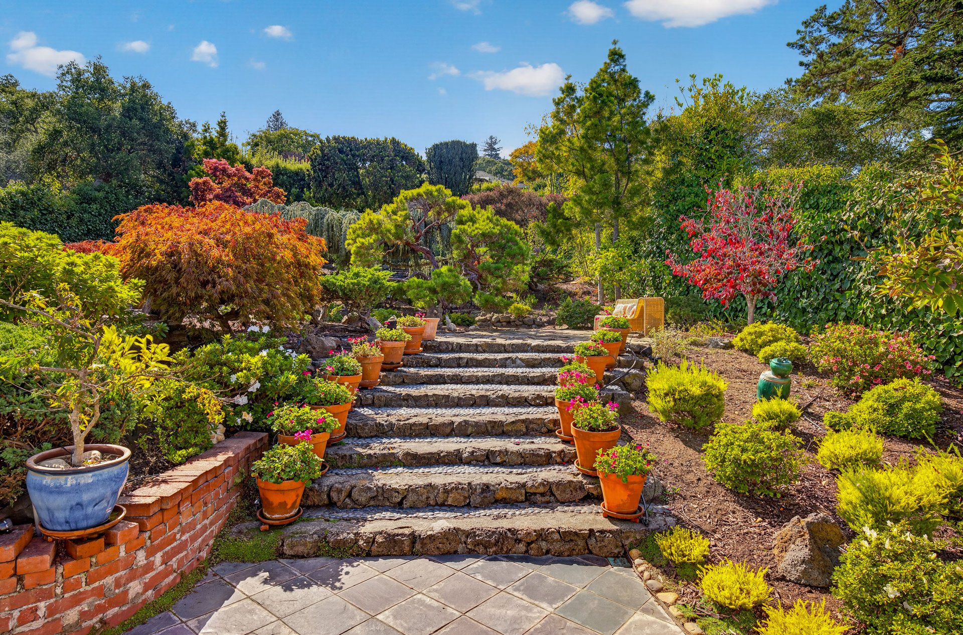 Belvedere Gem on an Incredible Lot