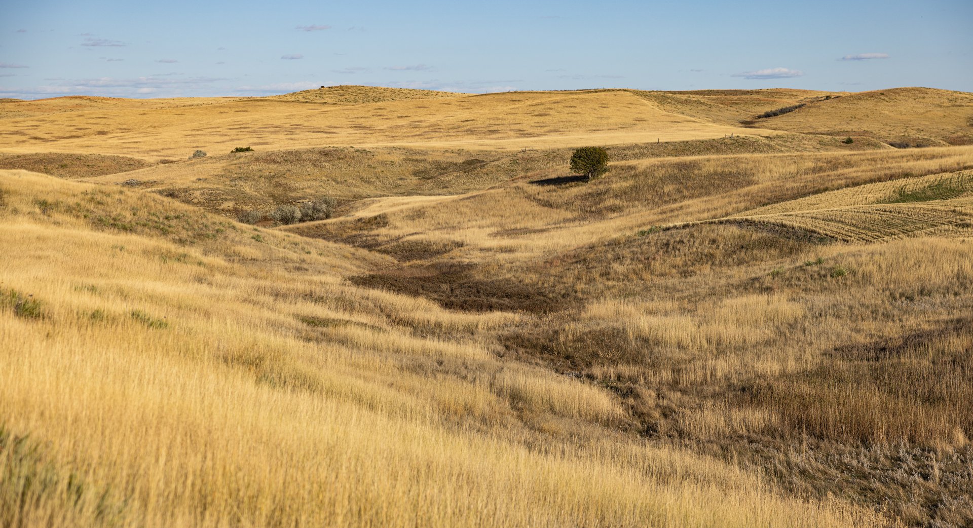 Salt Creek Ranch