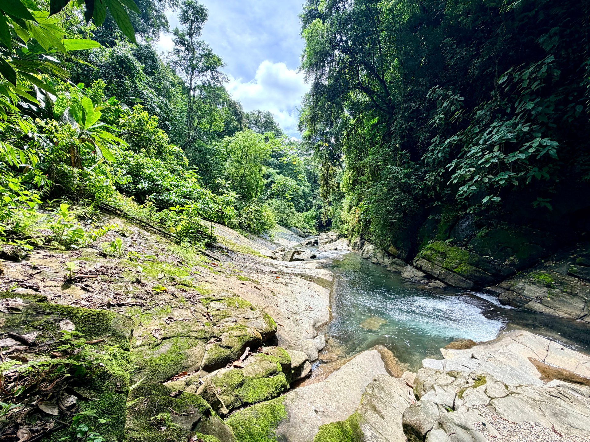 Uvita Development Farm - 45.4 Acres Estate