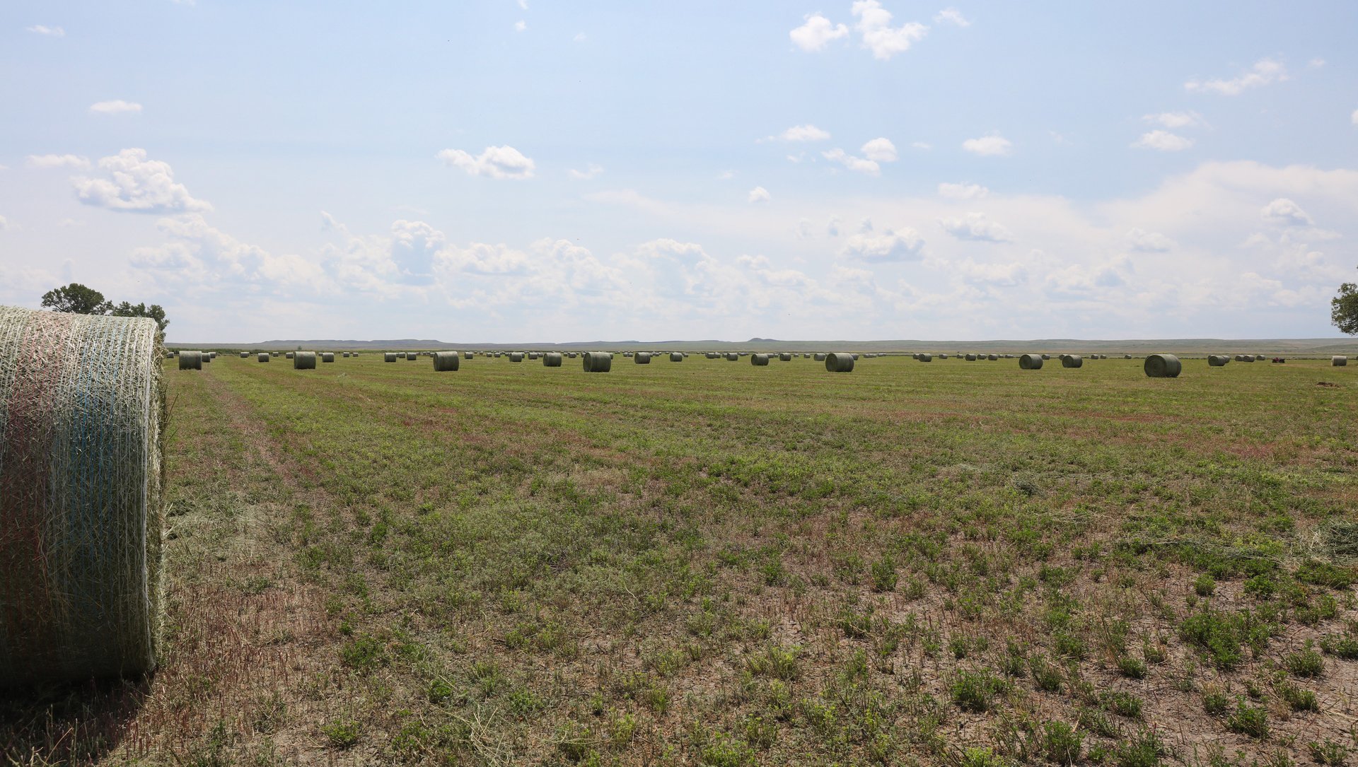 Spurs and Furs Ranch