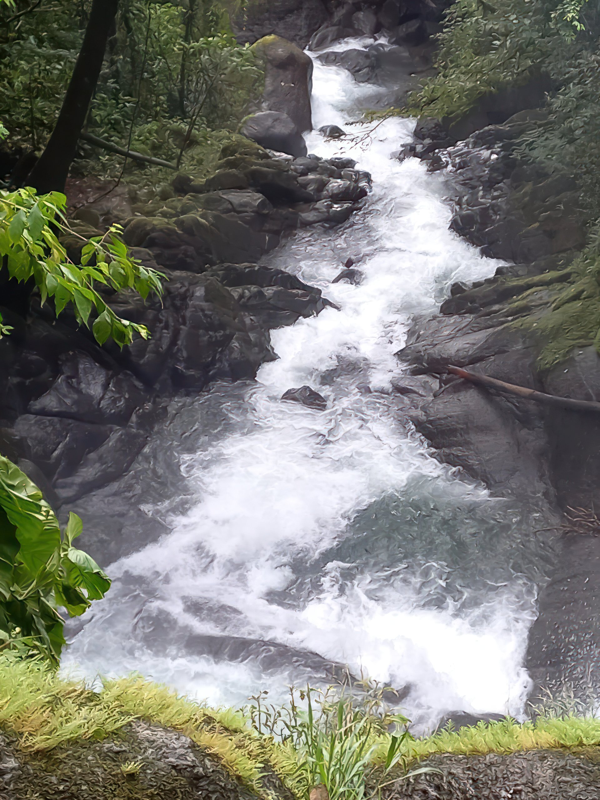 61 Acres of Pure Nature for Off-Grid Living & Conservation | Quepos