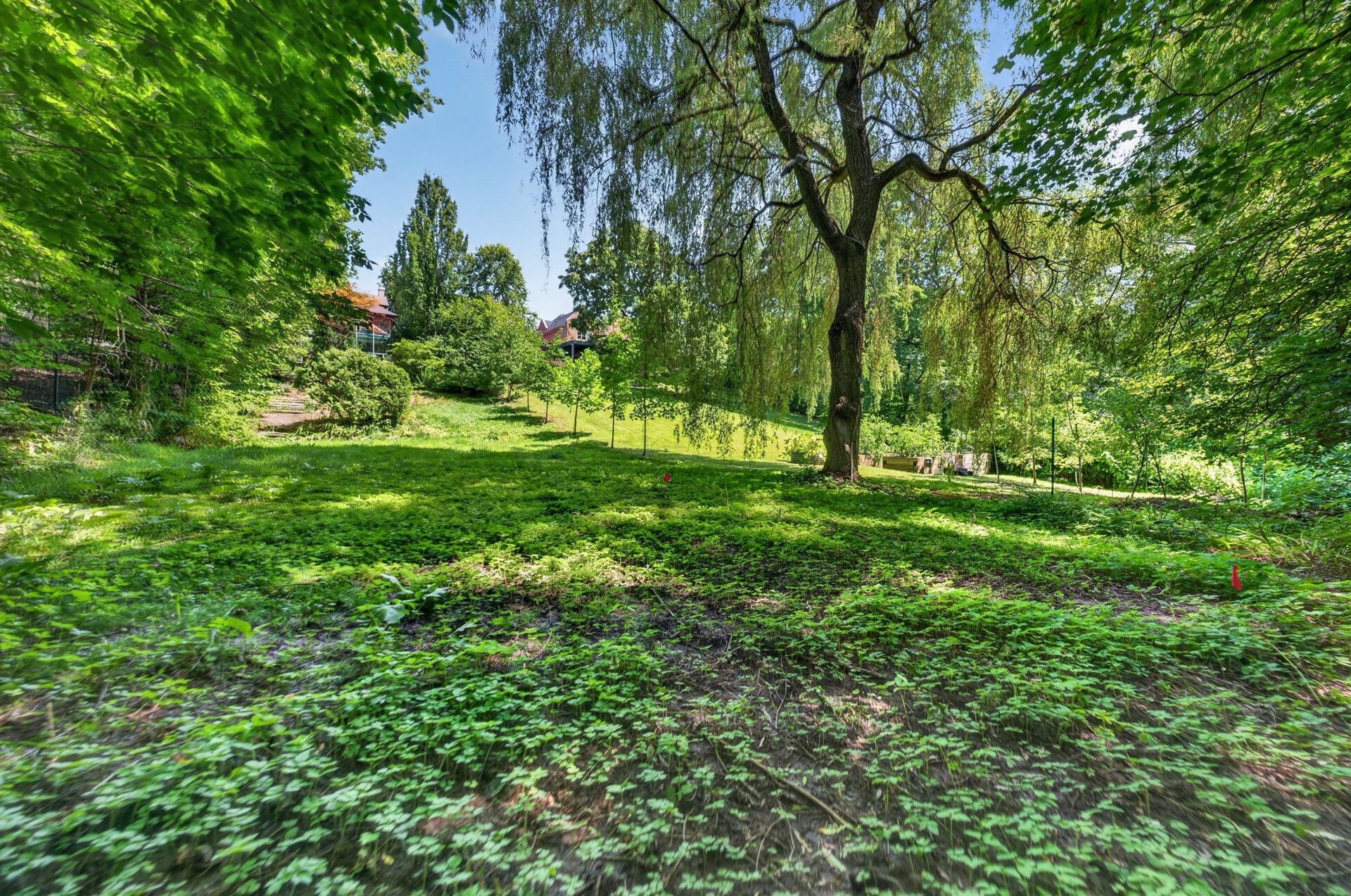 Architecturally Significant South Rosedale Estate