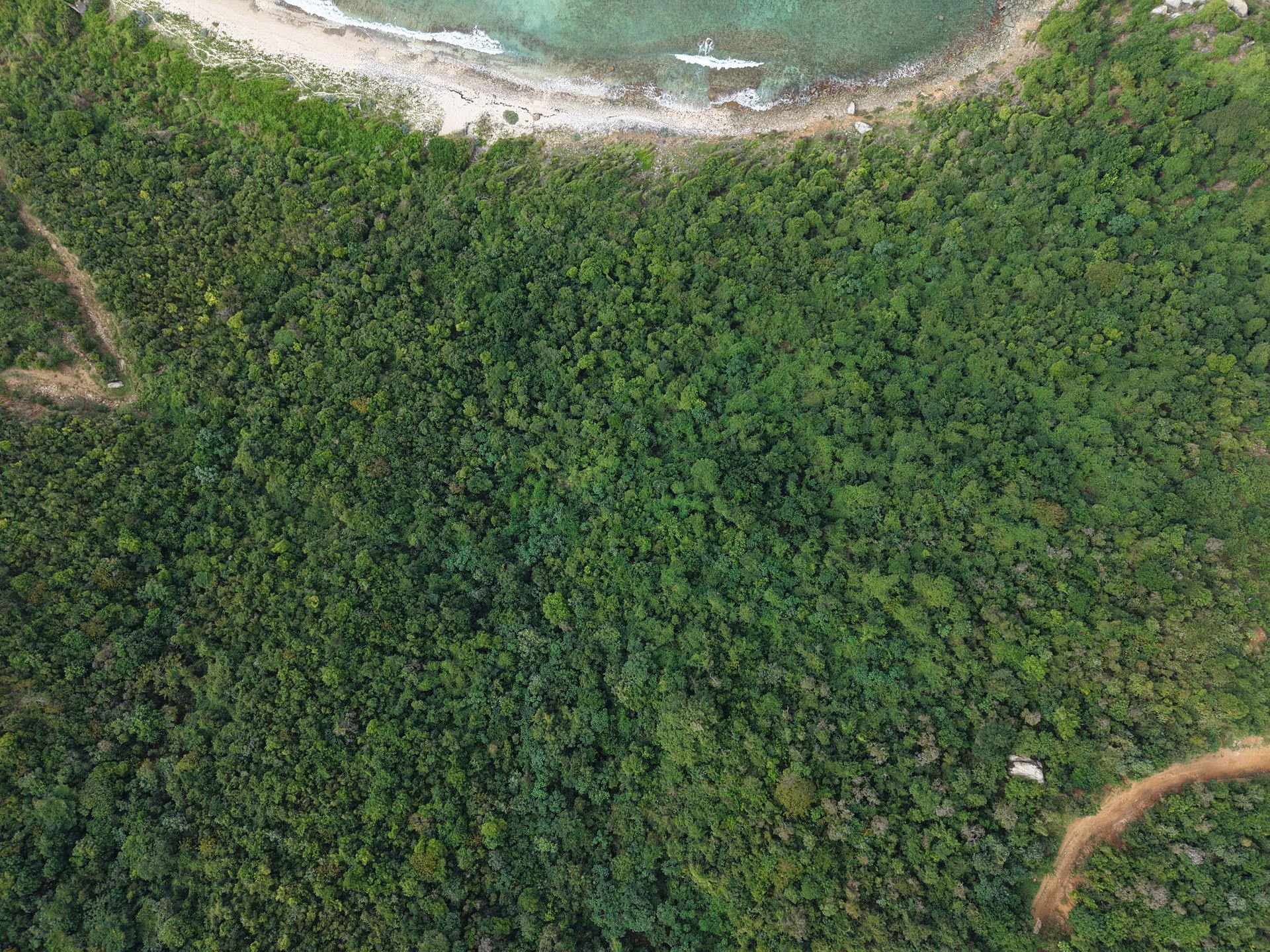 1029 Beachfront Half Acre Lot Now For Sale - Parcel 214