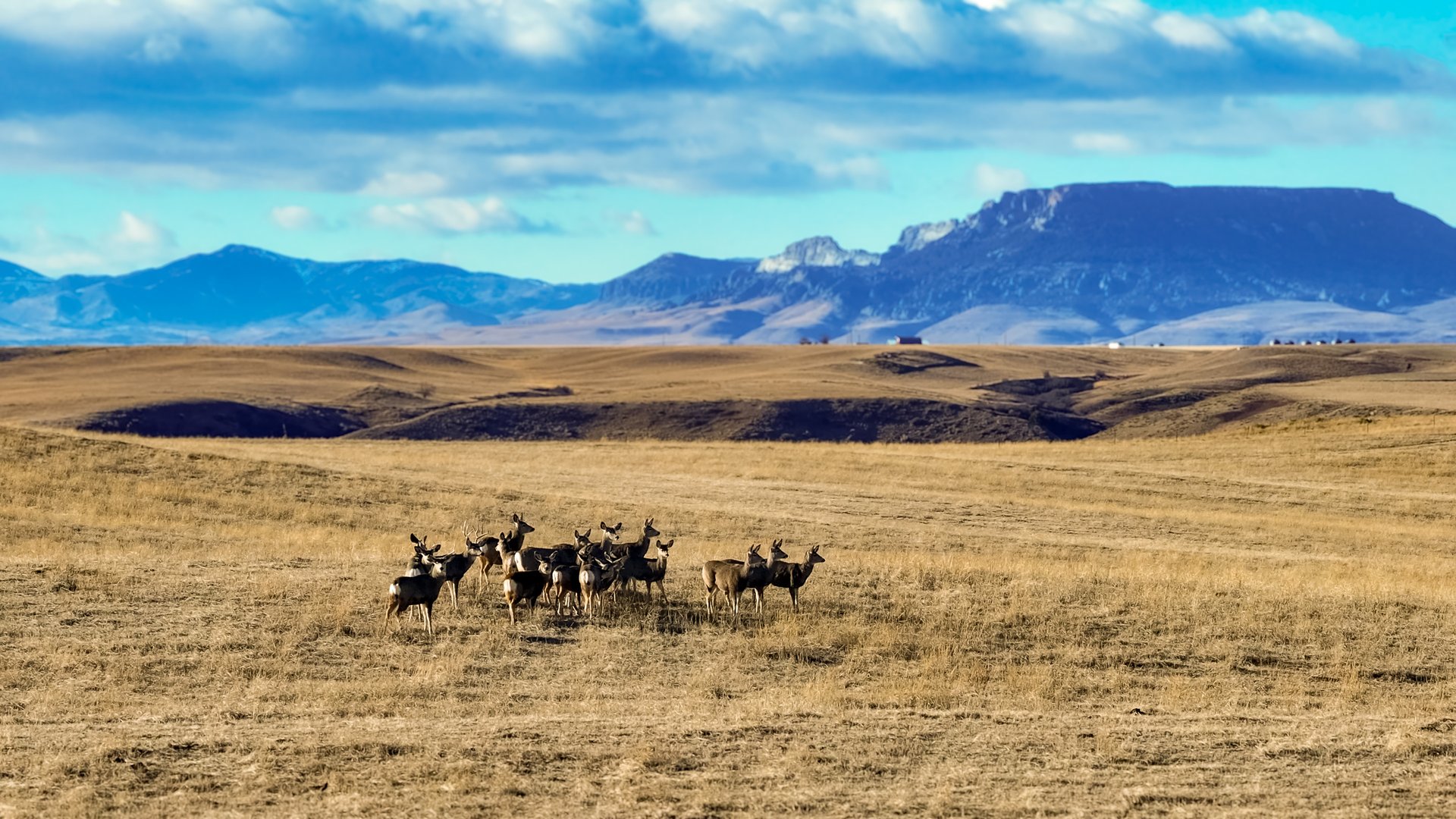 Prairie Rise Ranch