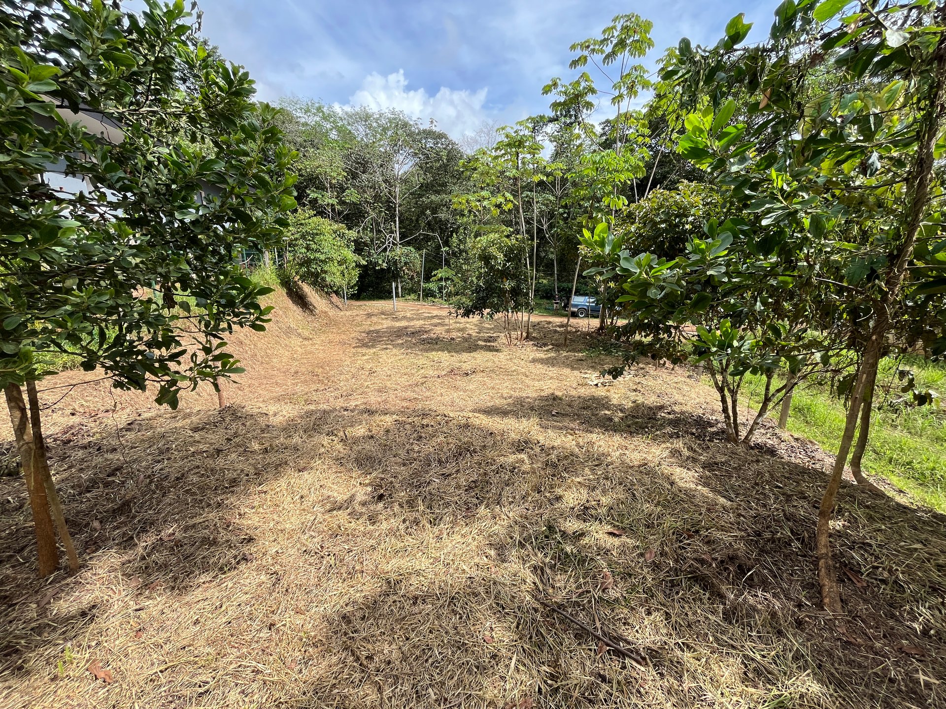 Affordable Uvita Lot UNDER $200-per-sqm - Perfect for Your Dream Home or Airbnb Investment