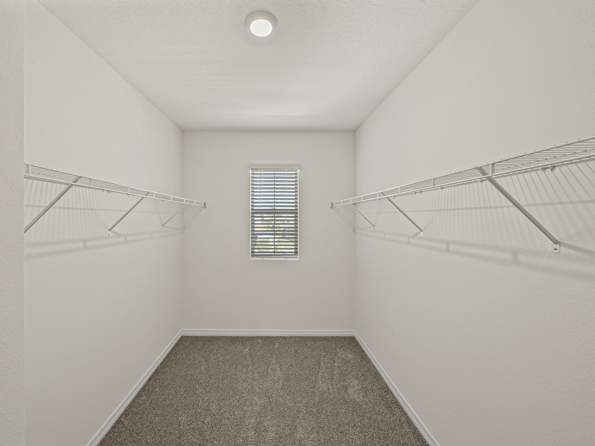 30739 PENNY SURF LOOP