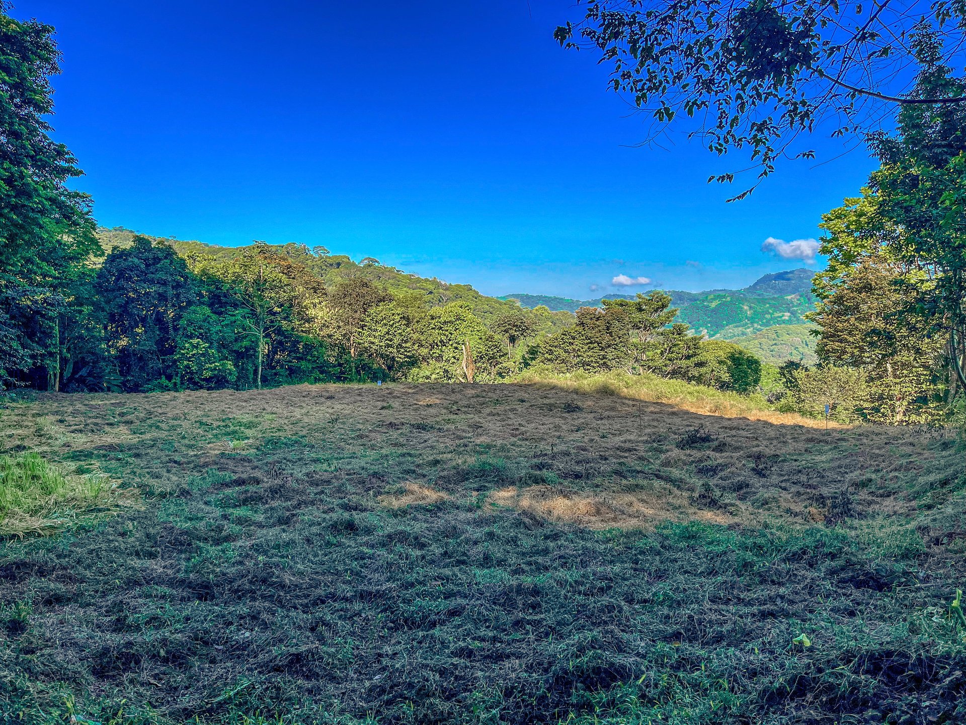 7 ACRES – Mountain Views! Large Building Area, Walking Distance To The Largest Waterfall In The Area, Public Road, Private Setting, Ready To Build, 20Min to Dominical!!