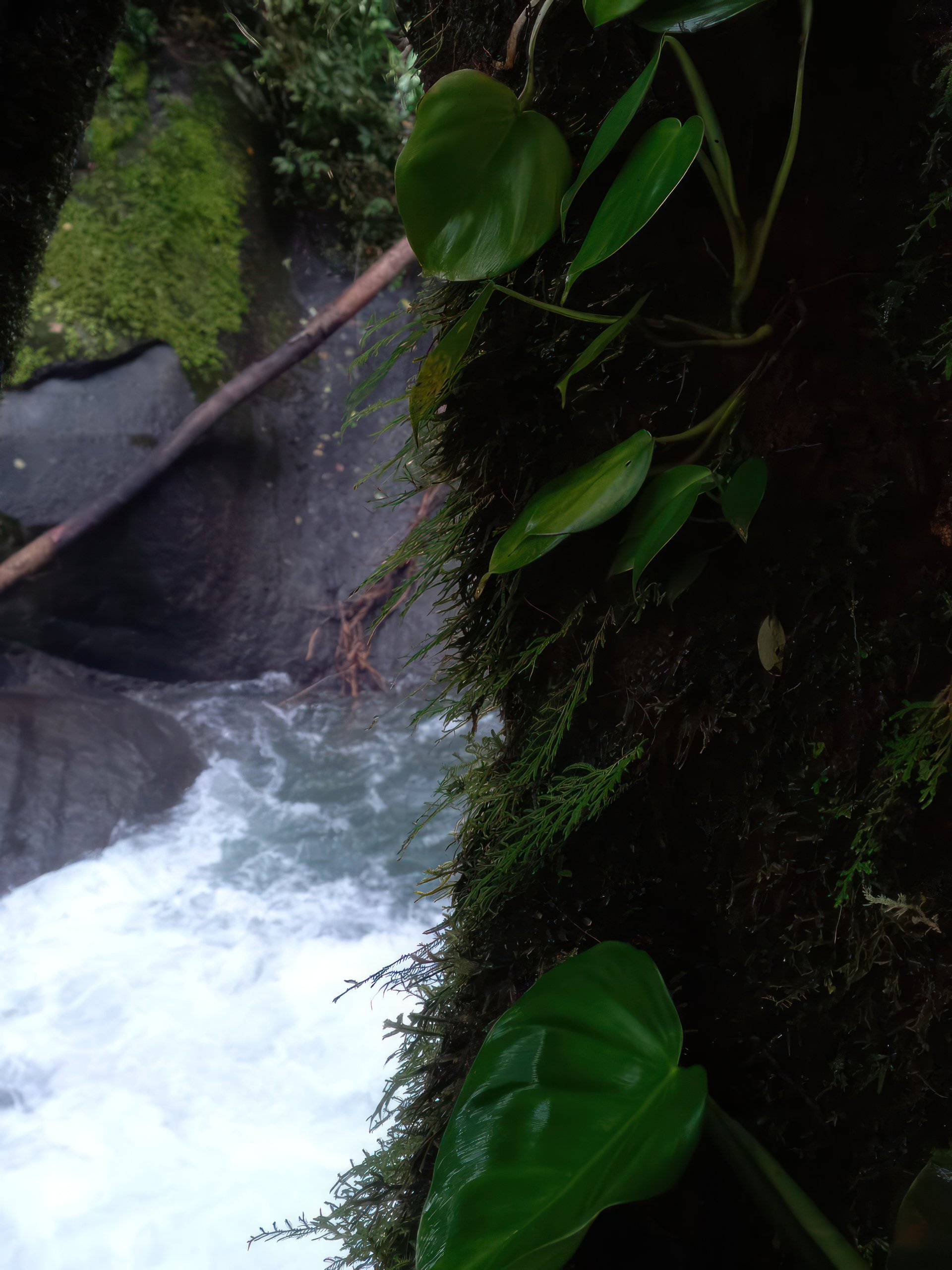 61 Acres of Pure Nature for Off-Grid Living & Conservation | Quepos