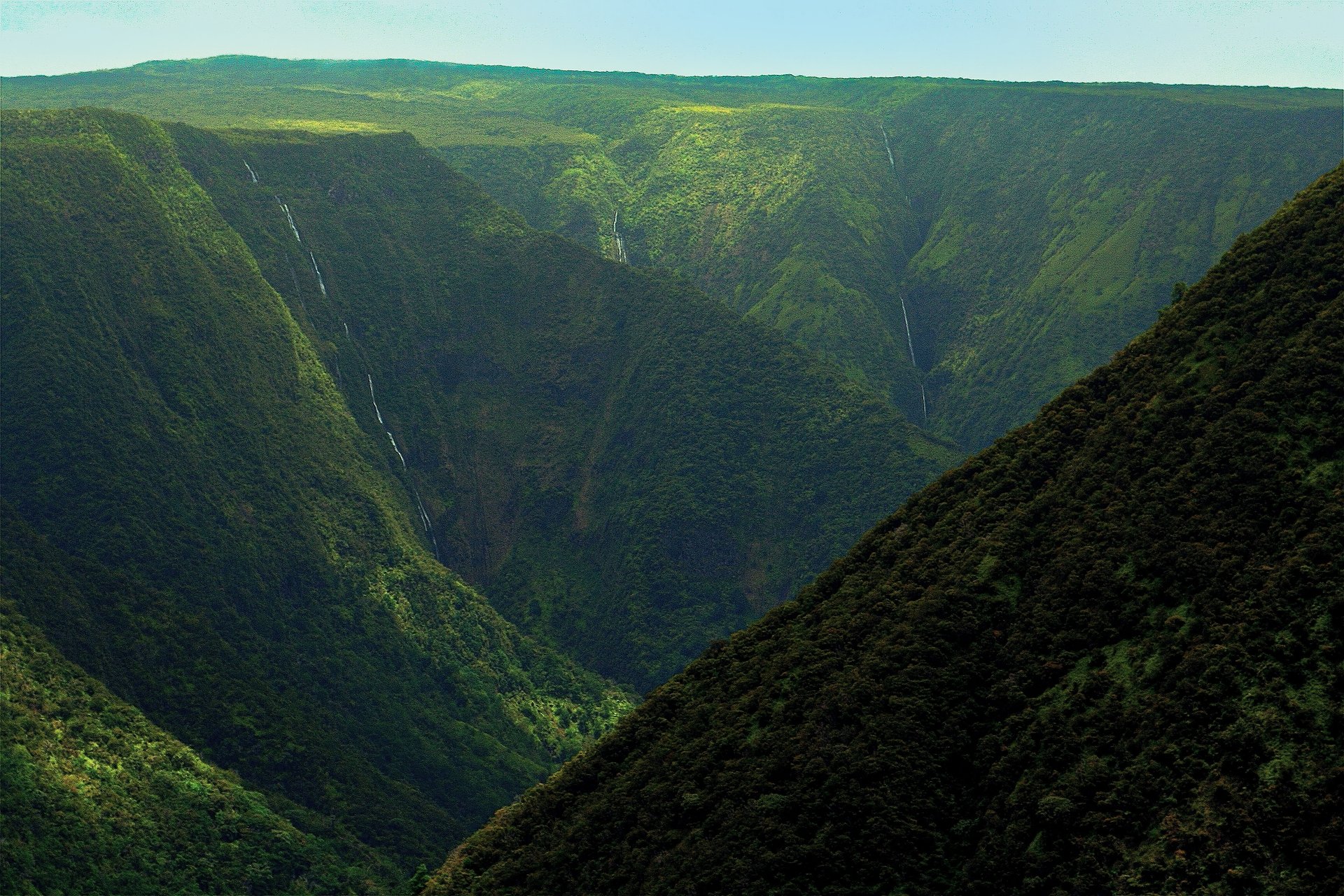 Waipi'o Valley Reserve