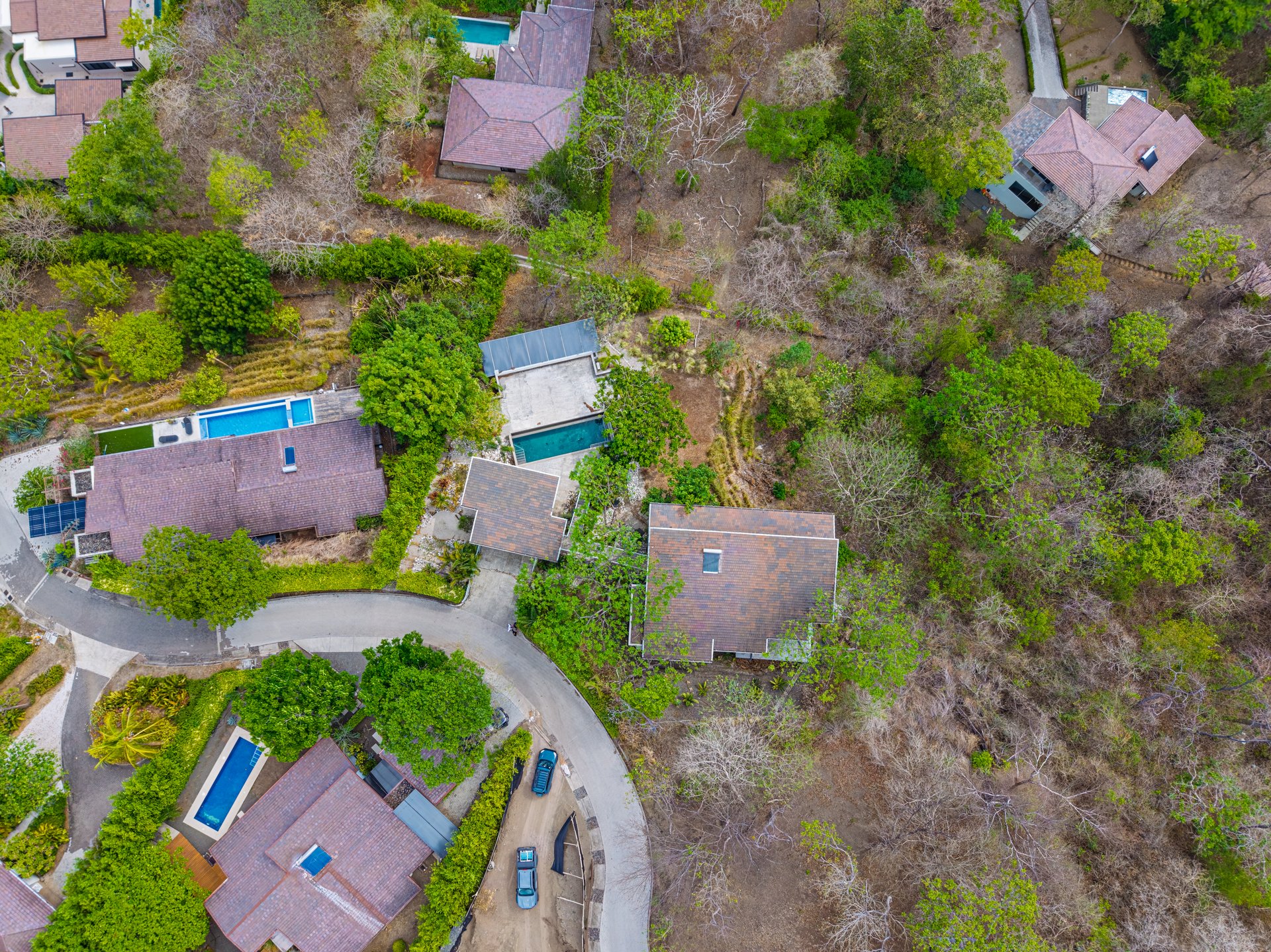Casa Bosque y Mar | Luxury Ocean & Jungle Retreat in Las Ventanas, Playa Grande