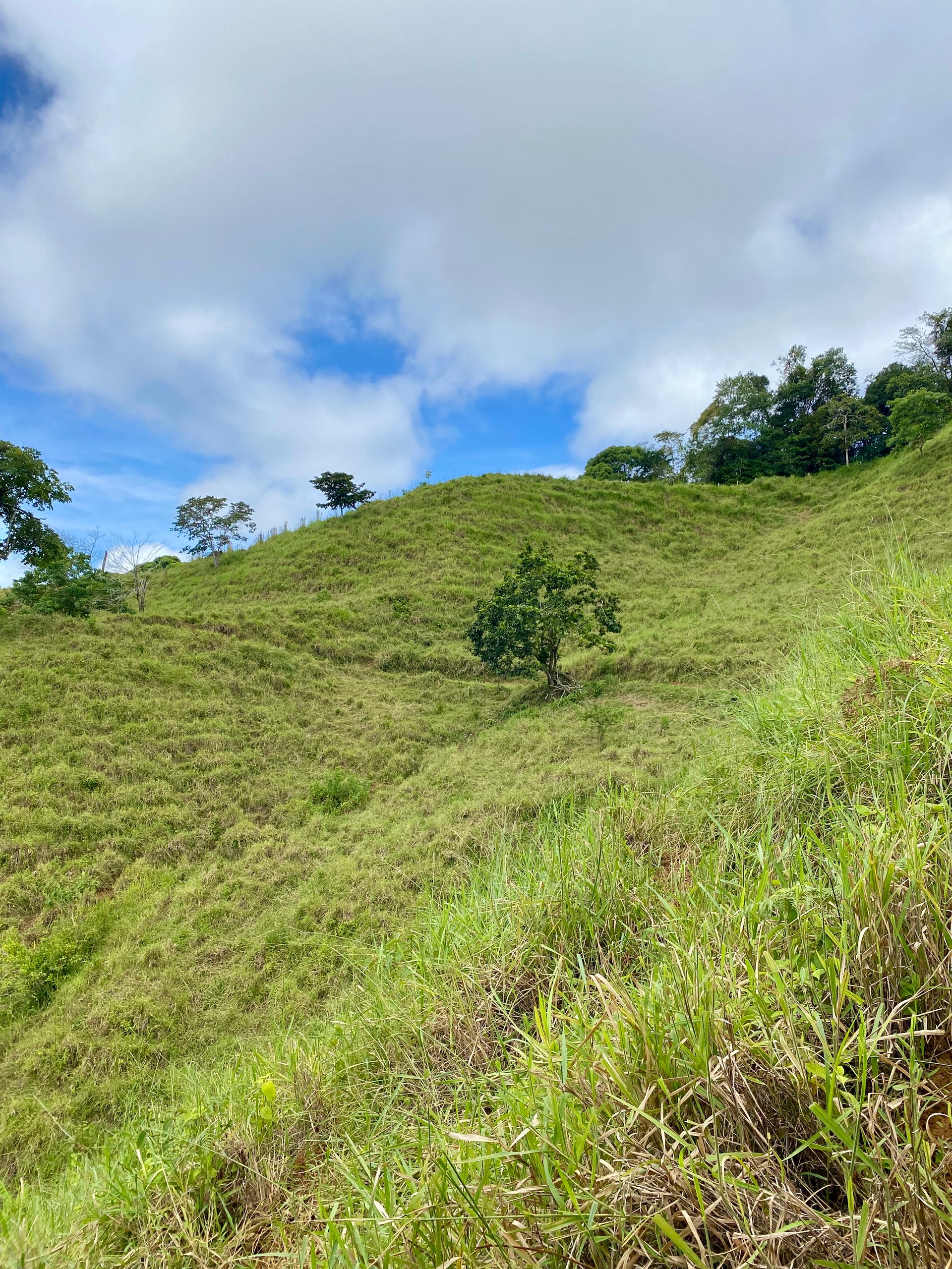 Spectacular 70 Acre Multiple Waterfall Property with Dramatic Views Near Ojochal