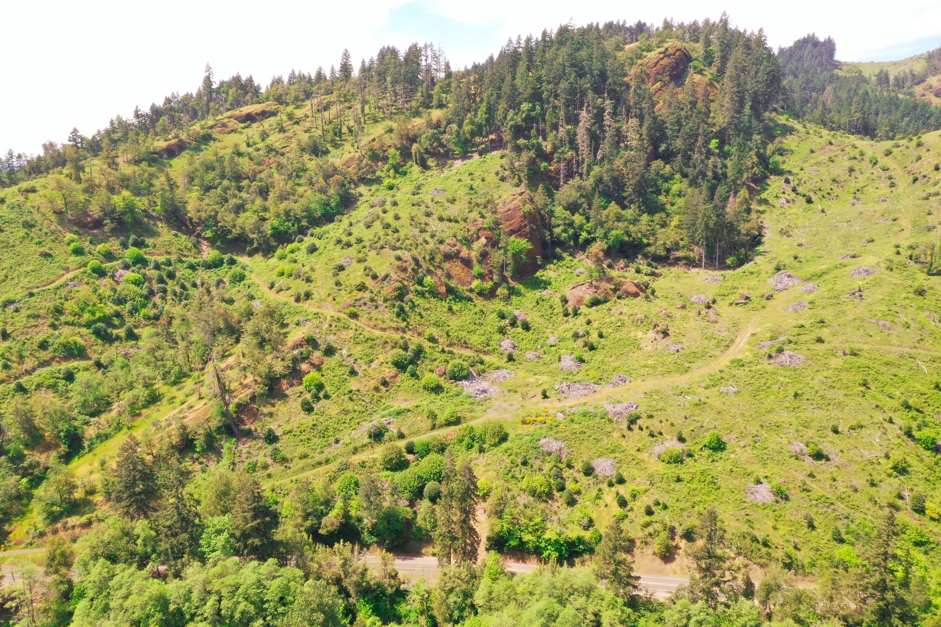STRICKLAND CANYON HOMESITE
