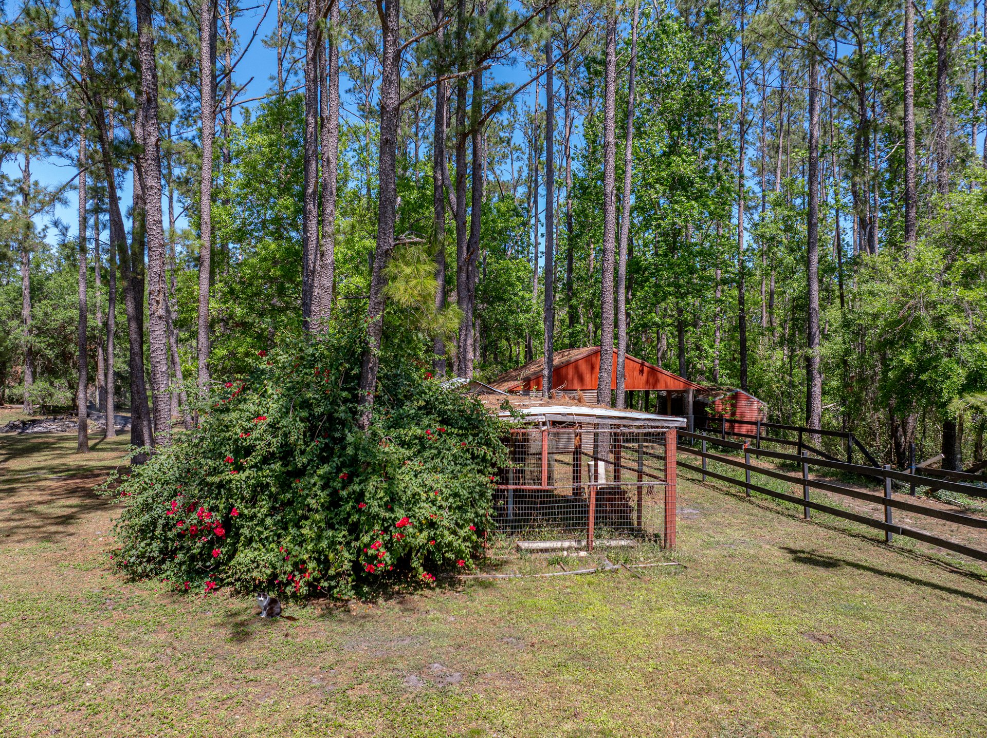 30237 SAINT JOE RD
