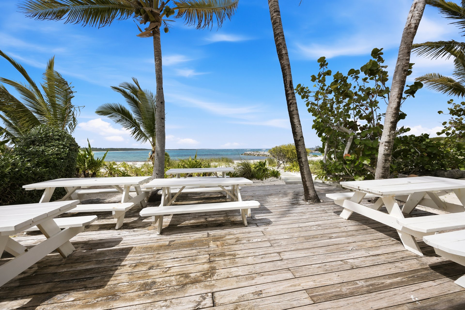 Sand Dollar, Schooner Bay 