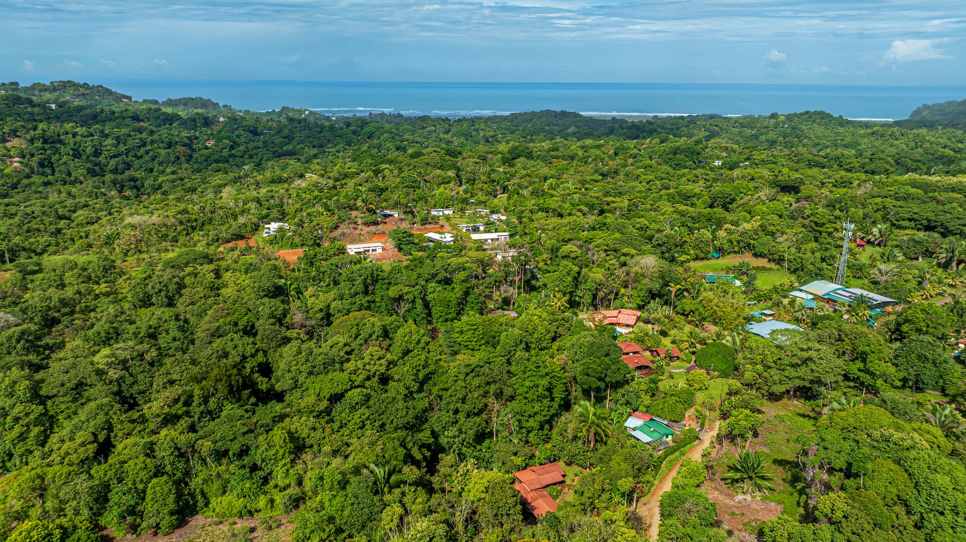 A Jungle House Built of Wood & River Dreams