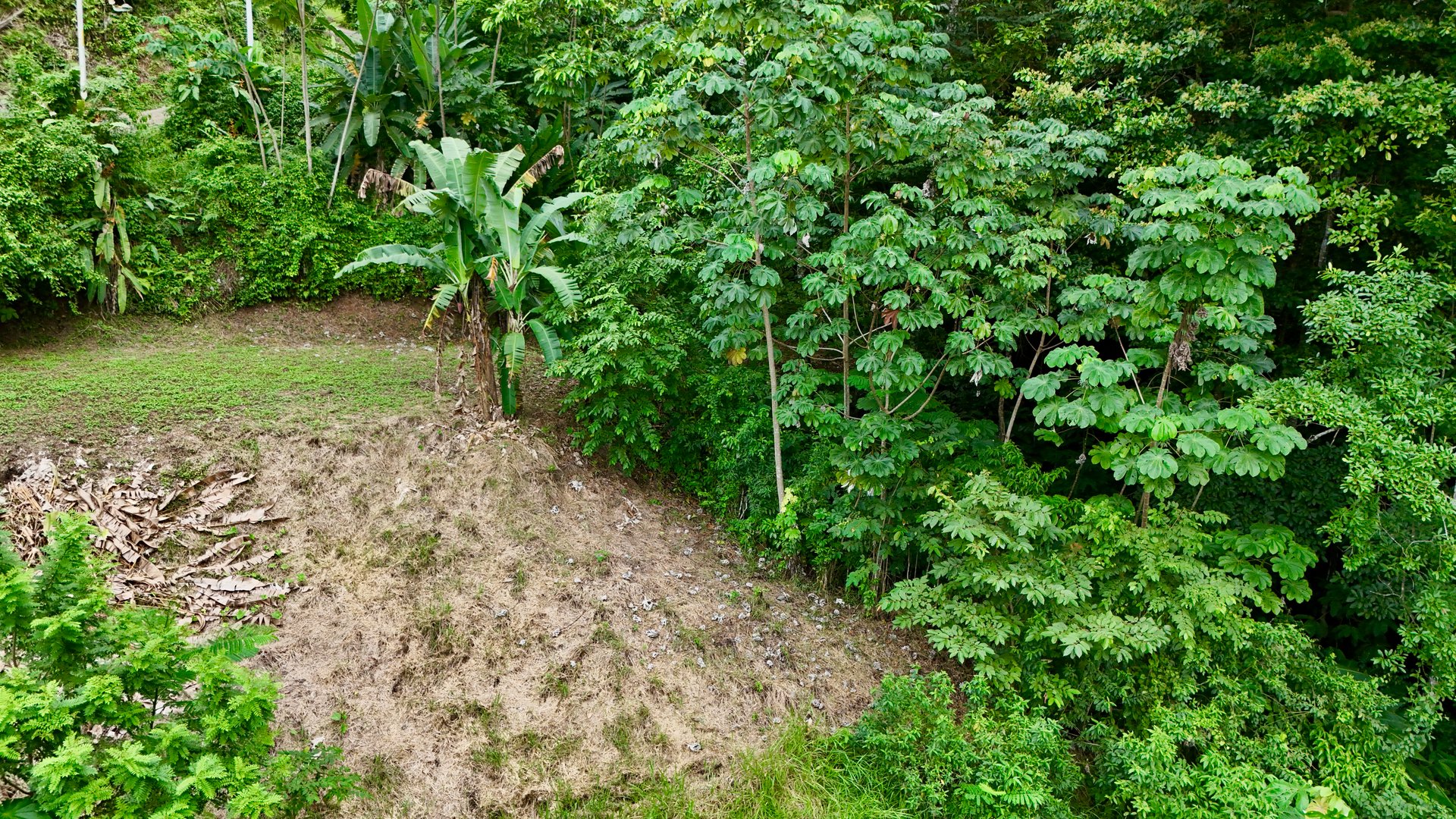 Tres Ríos Jungle Sanctuary | Ready-to-Build Lot Surrounded by Nature