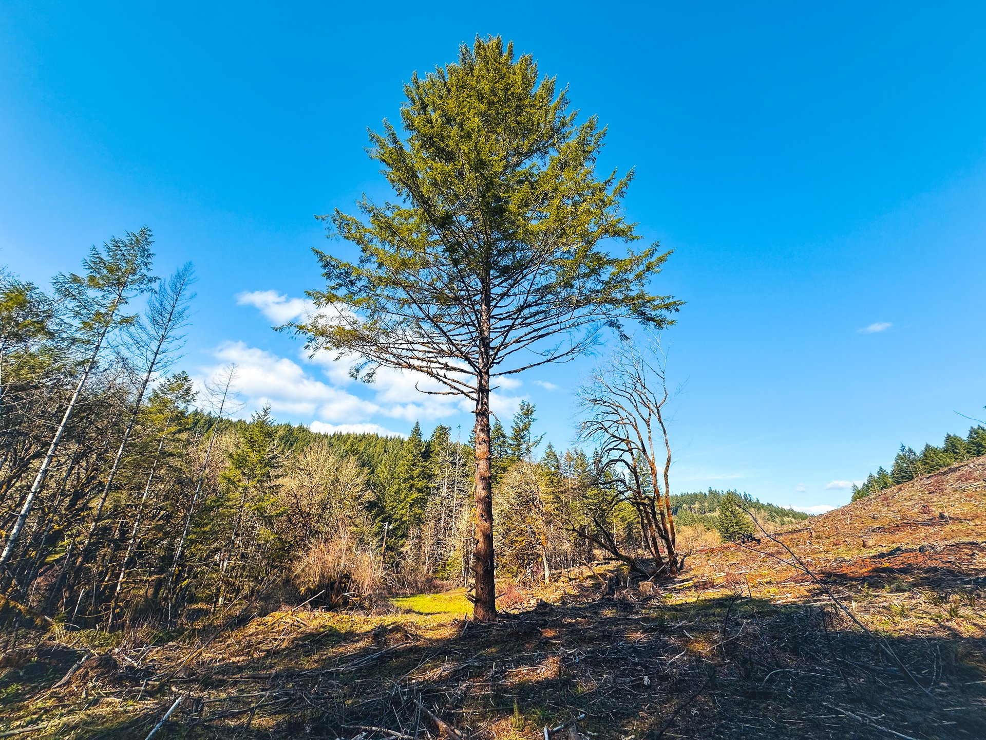 Sharewater Homesite